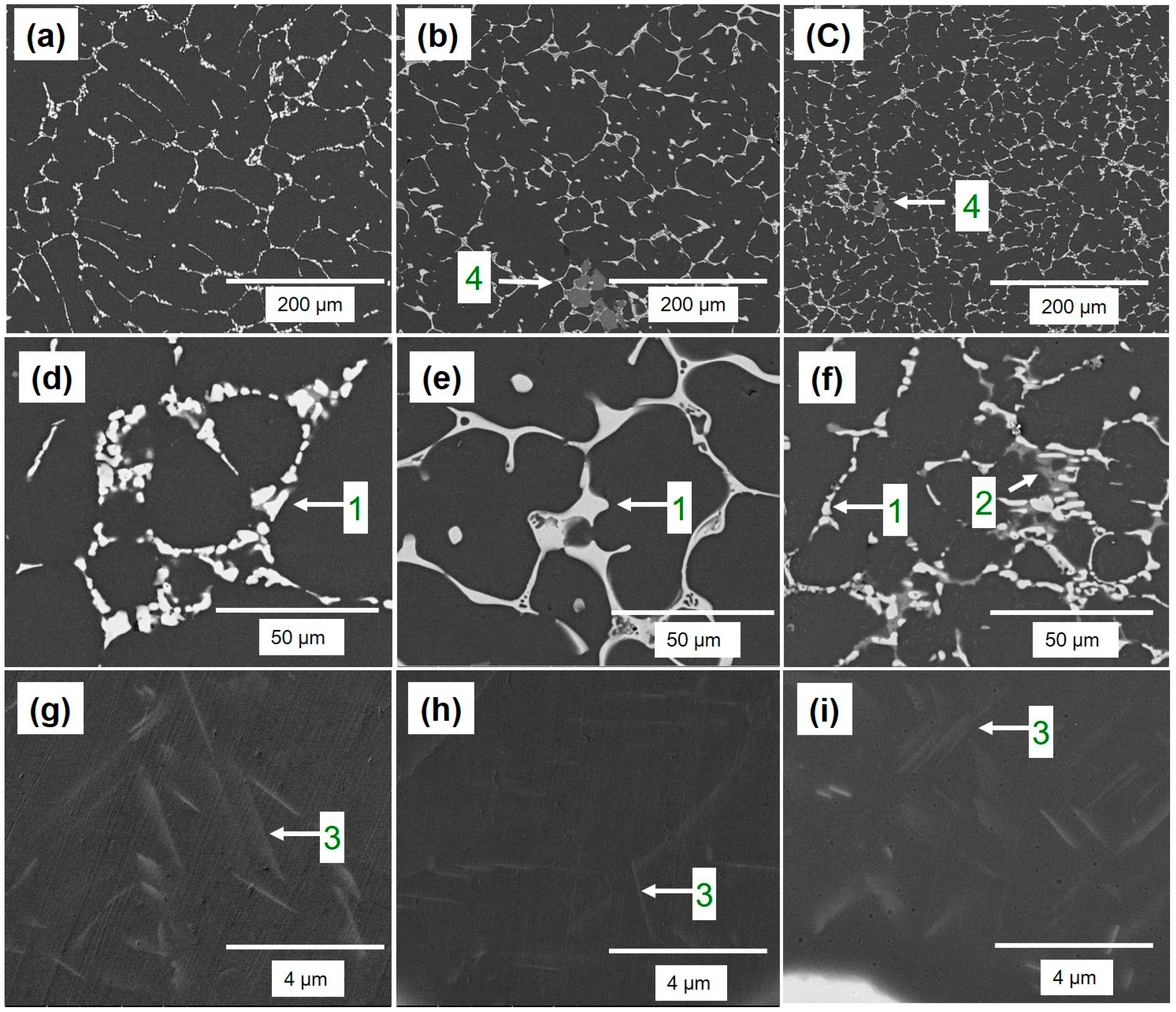 Materials 16 04384 g006