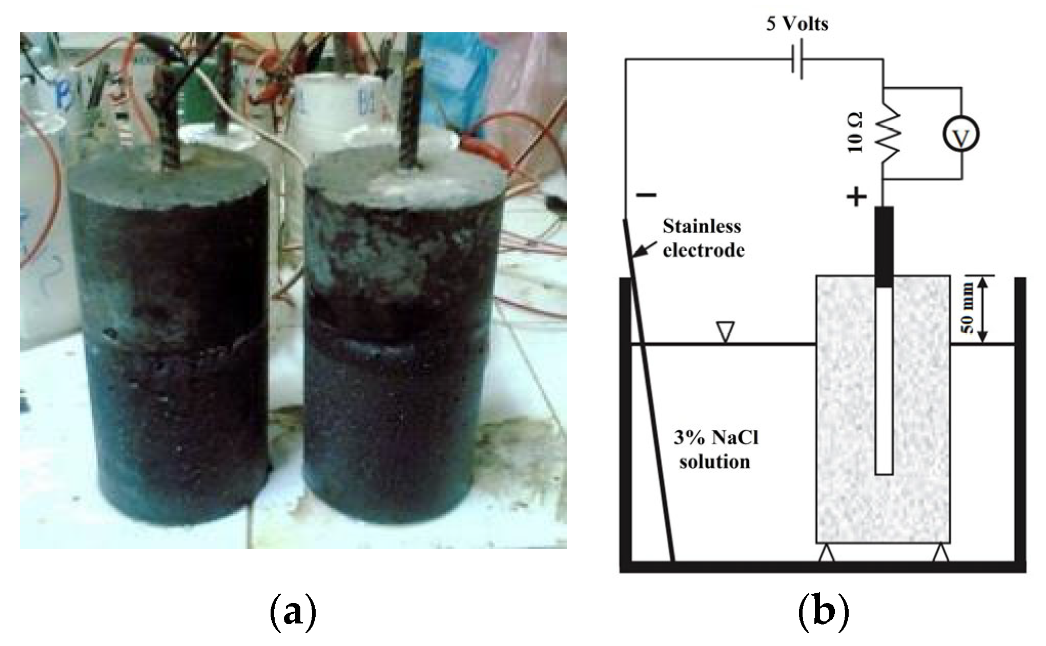Materials 16 04406 g004