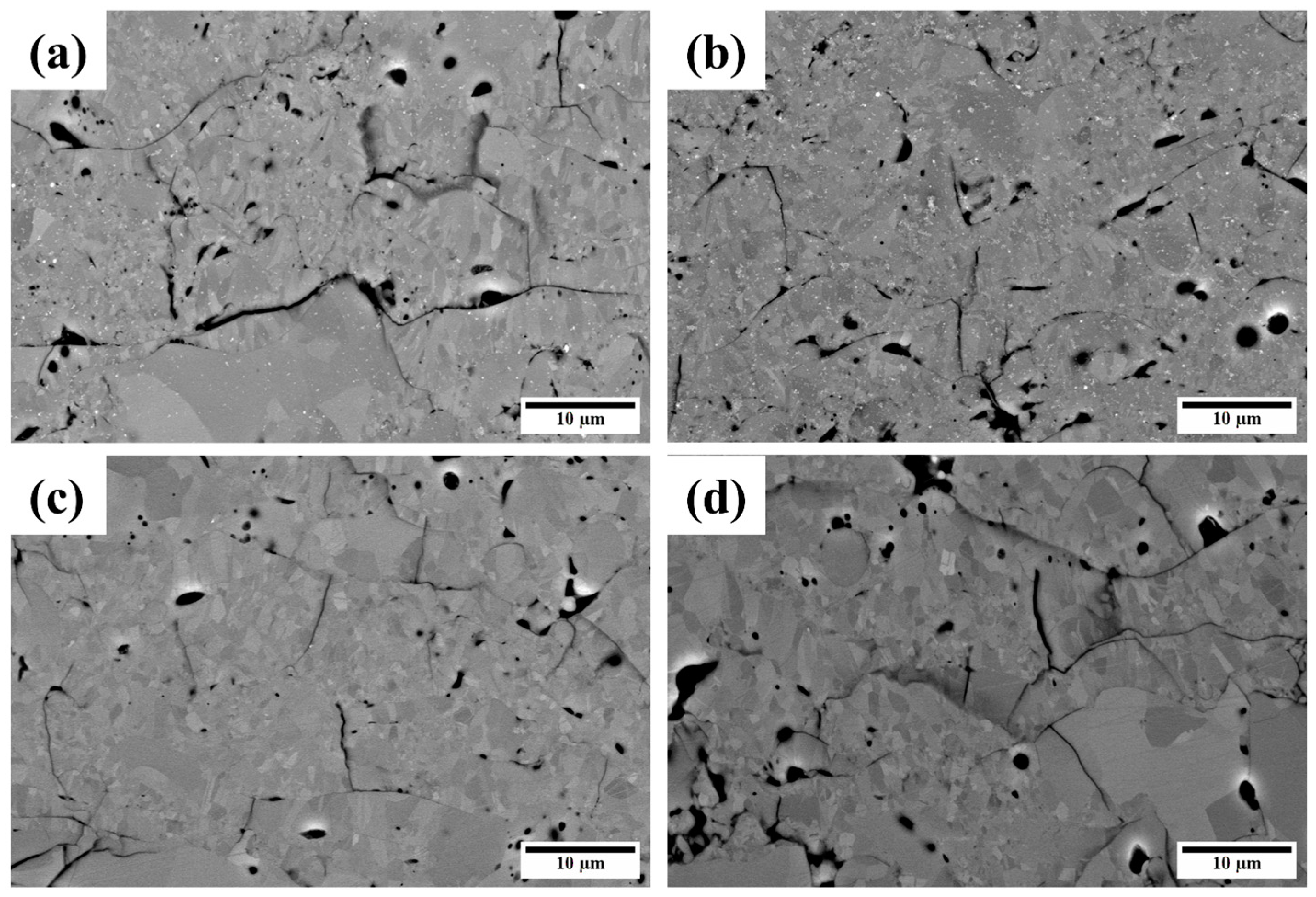 Materials 16 04407 g007