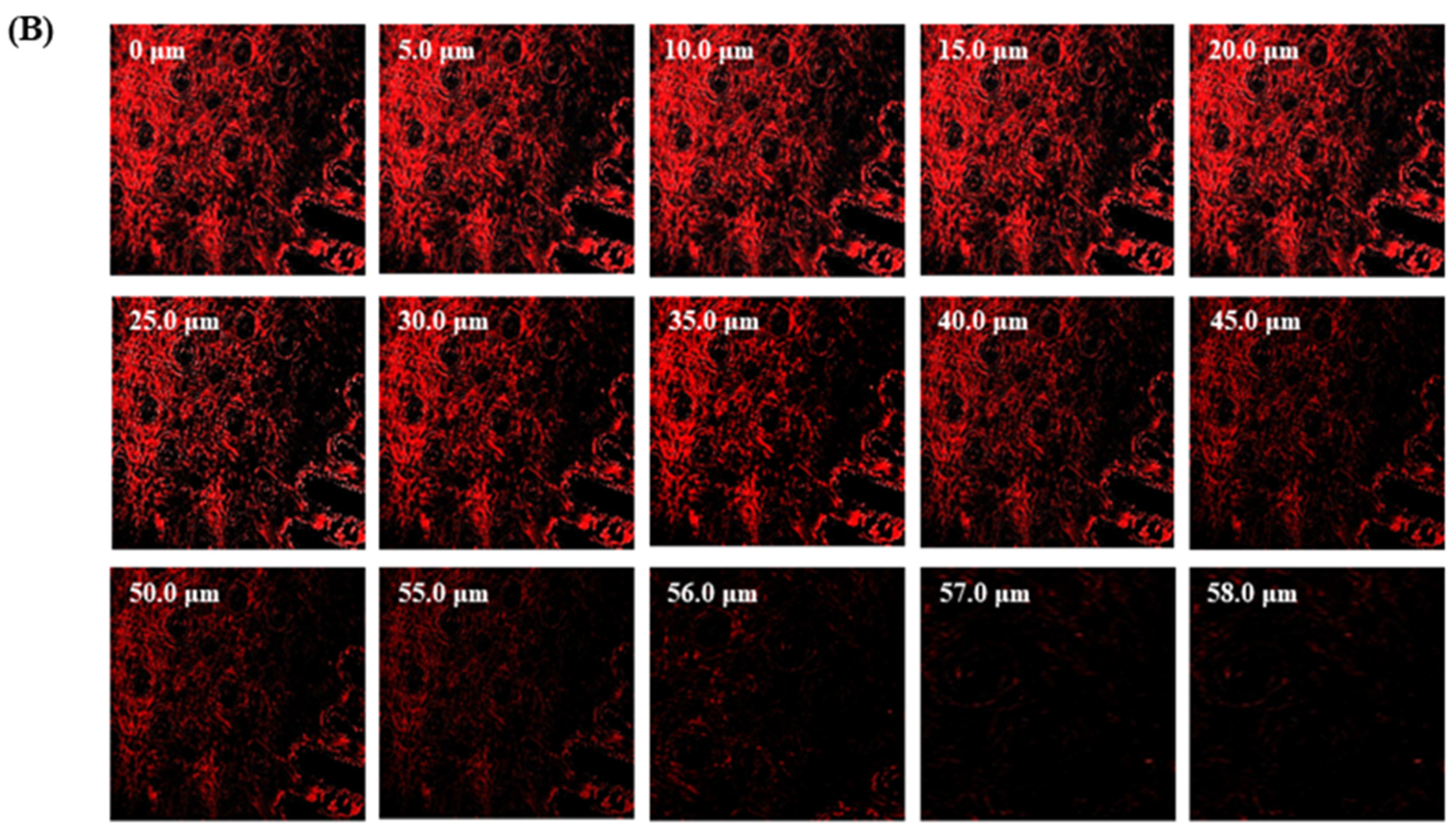 Materials 16 04424 g007b Materials 16 04424 g007b