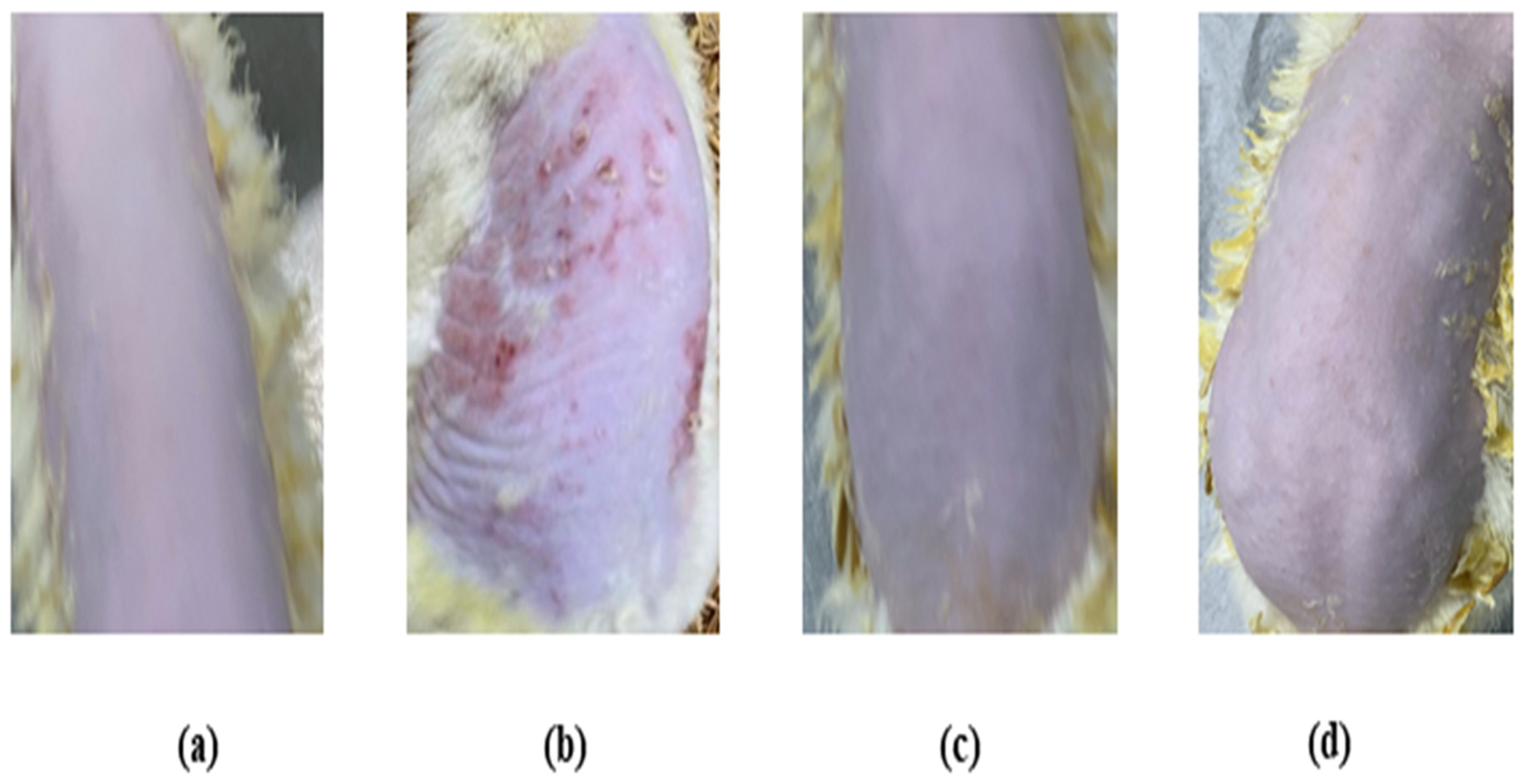 Materials 16 04424 g008 Materials 16 04424 g008