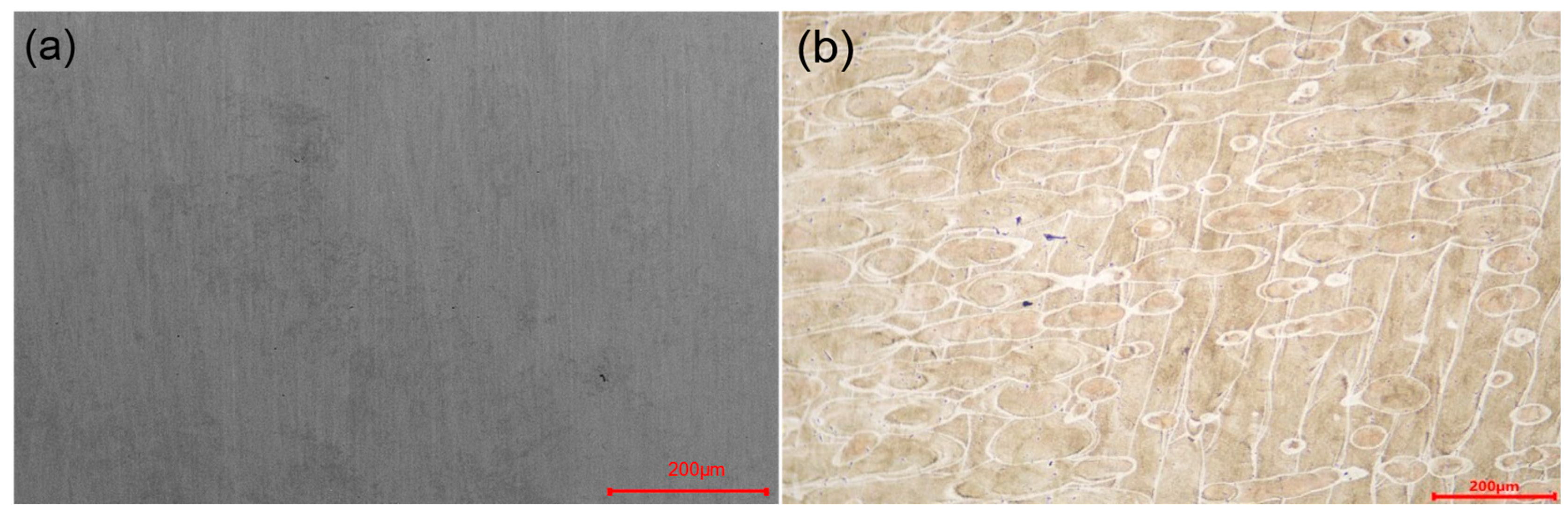 Materials 16 04433 g003 Materials 16 04433 g003