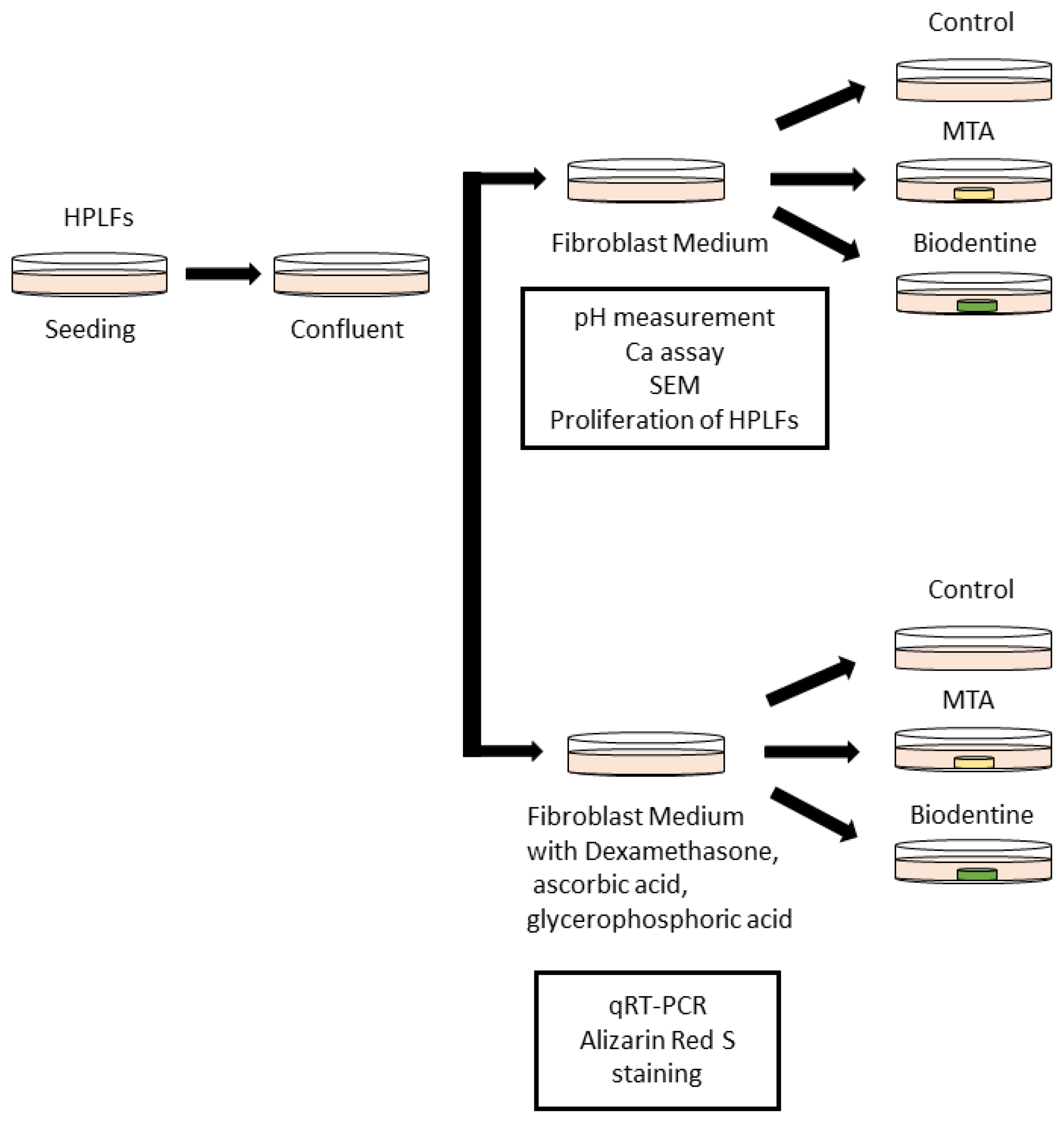 Materials 16 04451 g001