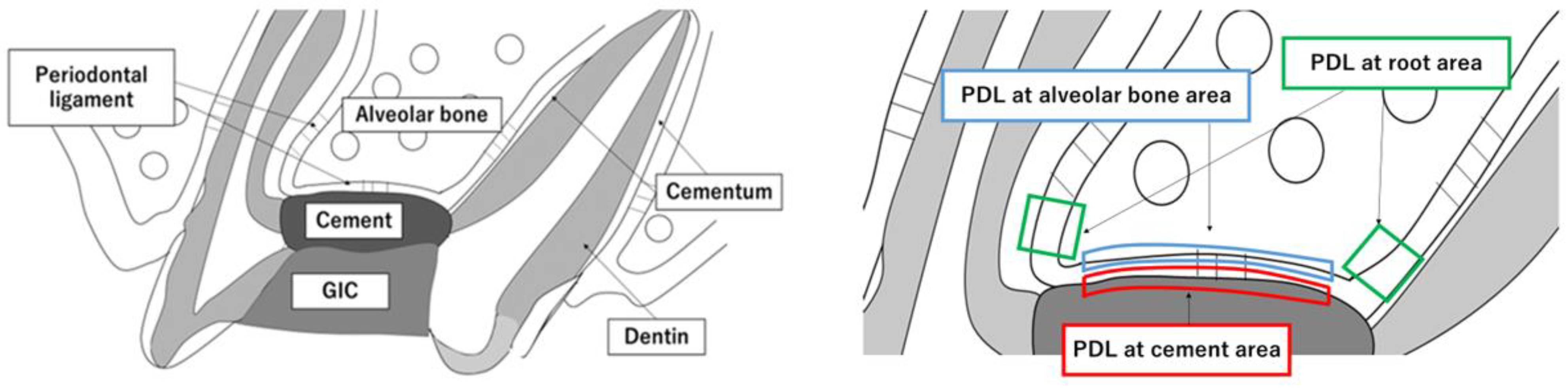 Materials 16 04451 g002