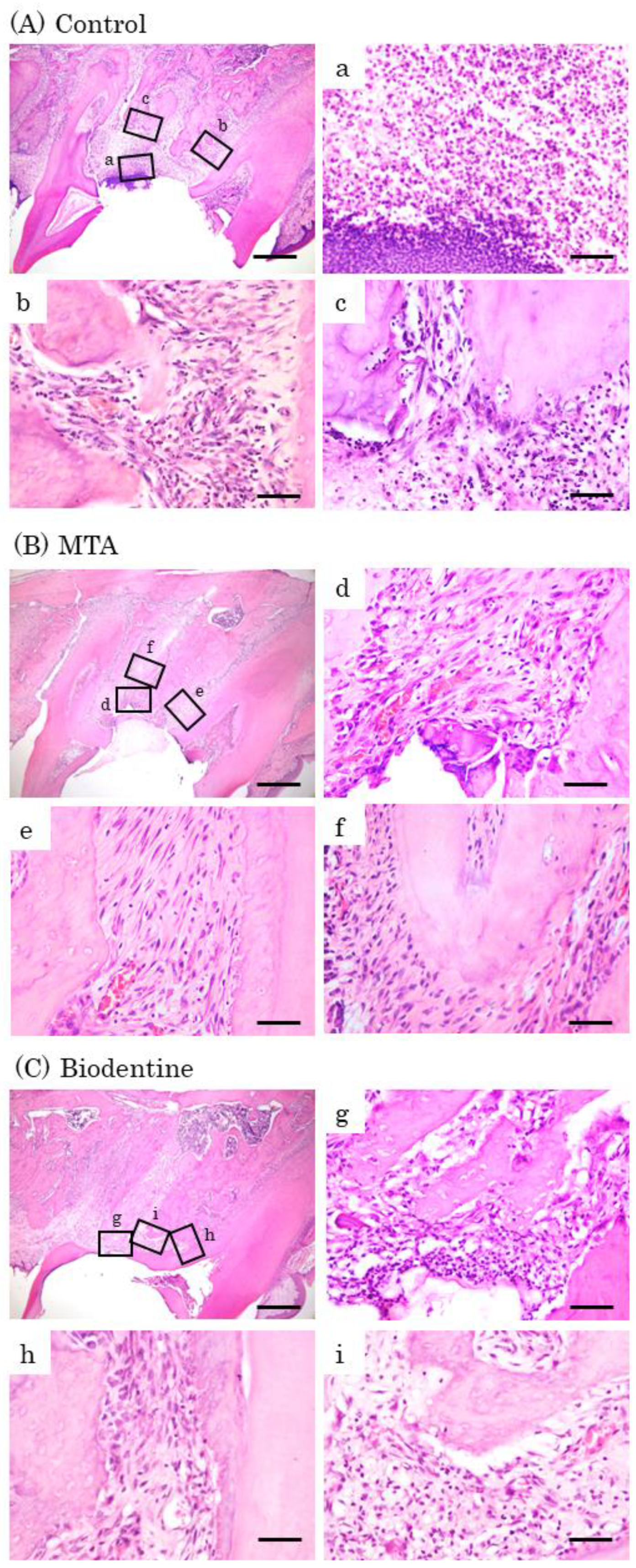Materials 16 04451 g008