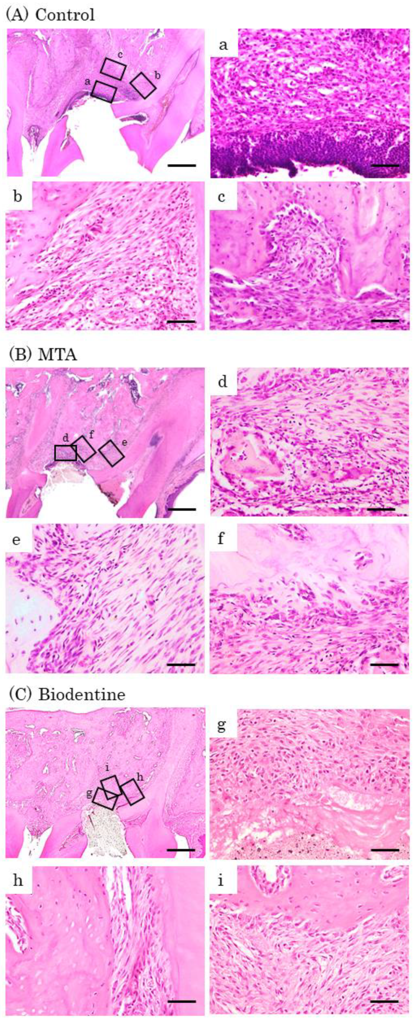 Materials 16 04451 g009