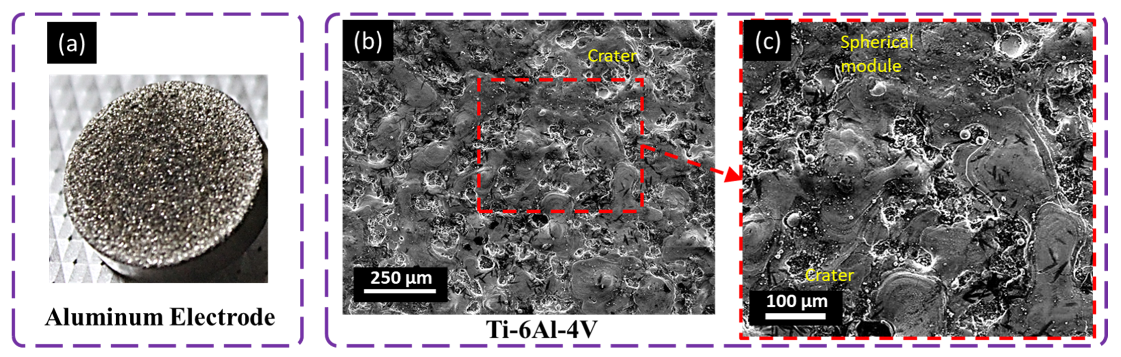 Materials 16 04458 g009