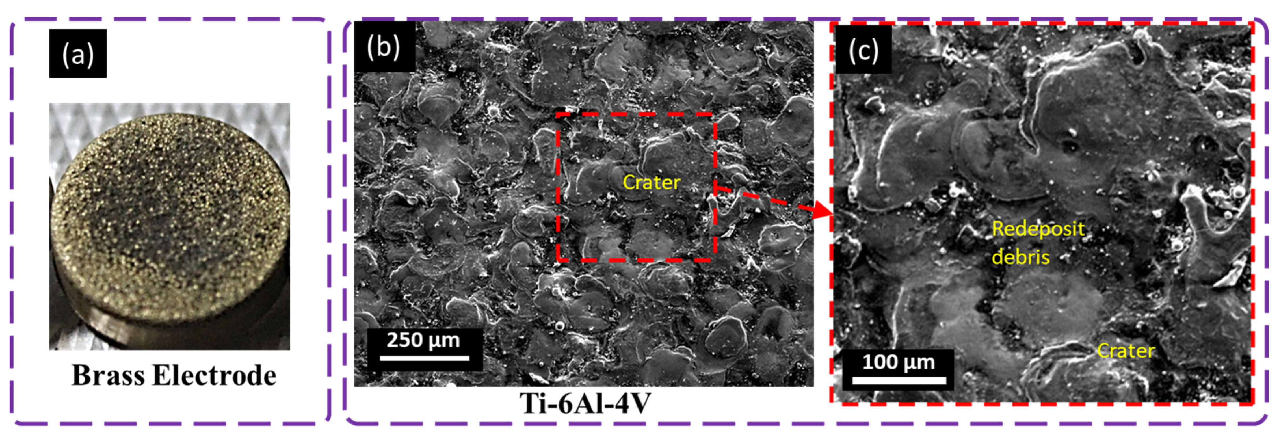 Materials 16 04458 g010