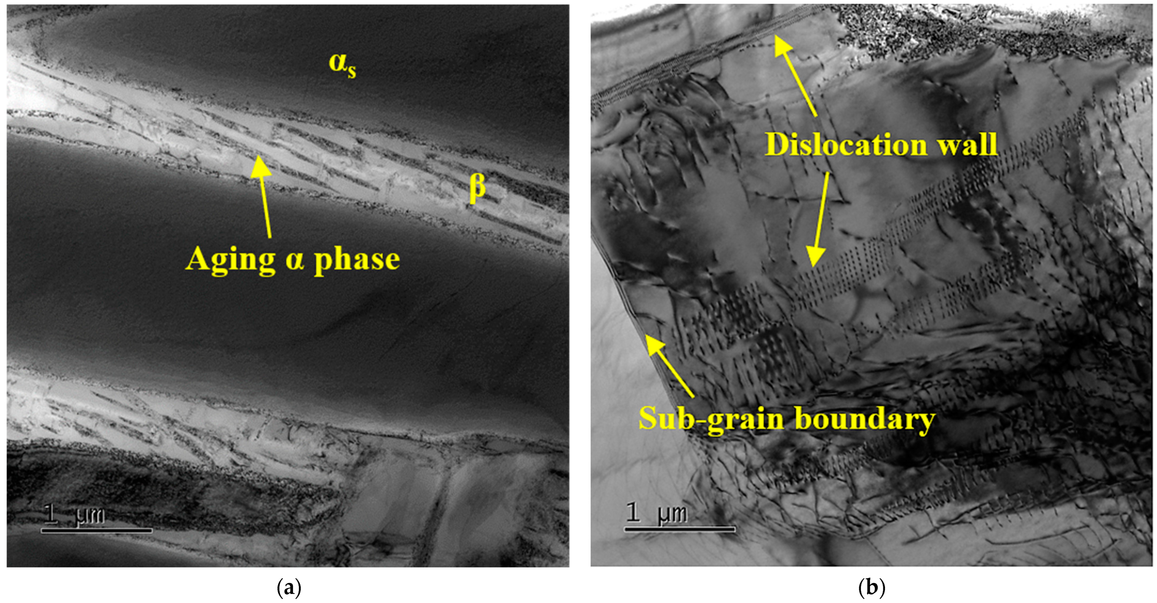 Materials 16 04462 g006 Materials 16 04462 g006