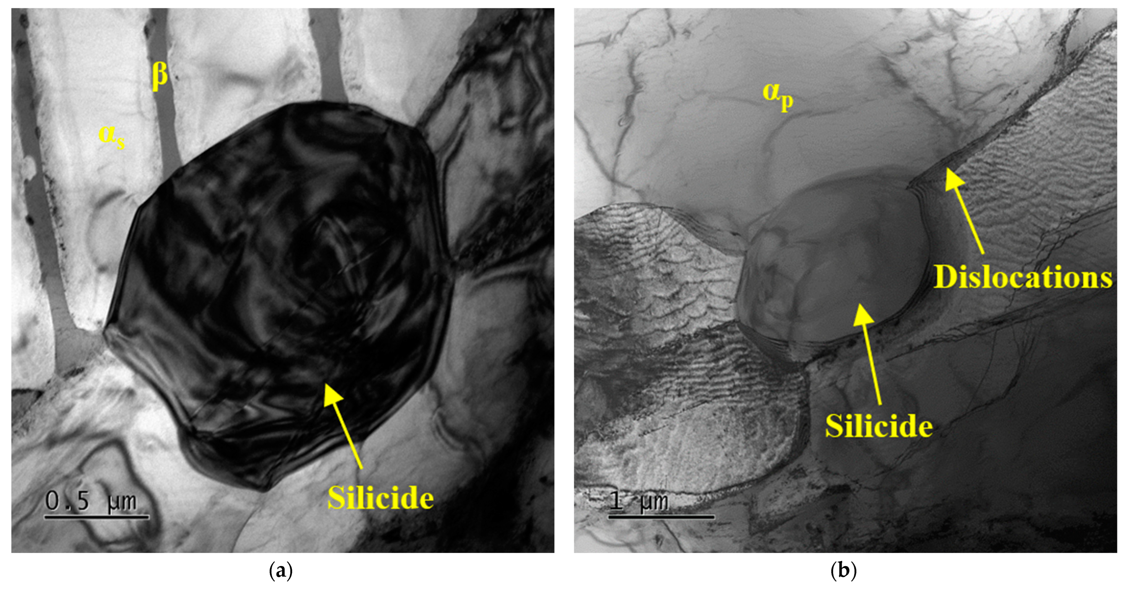 Materials 16 04462 g008a Materials 16 04462 g008a