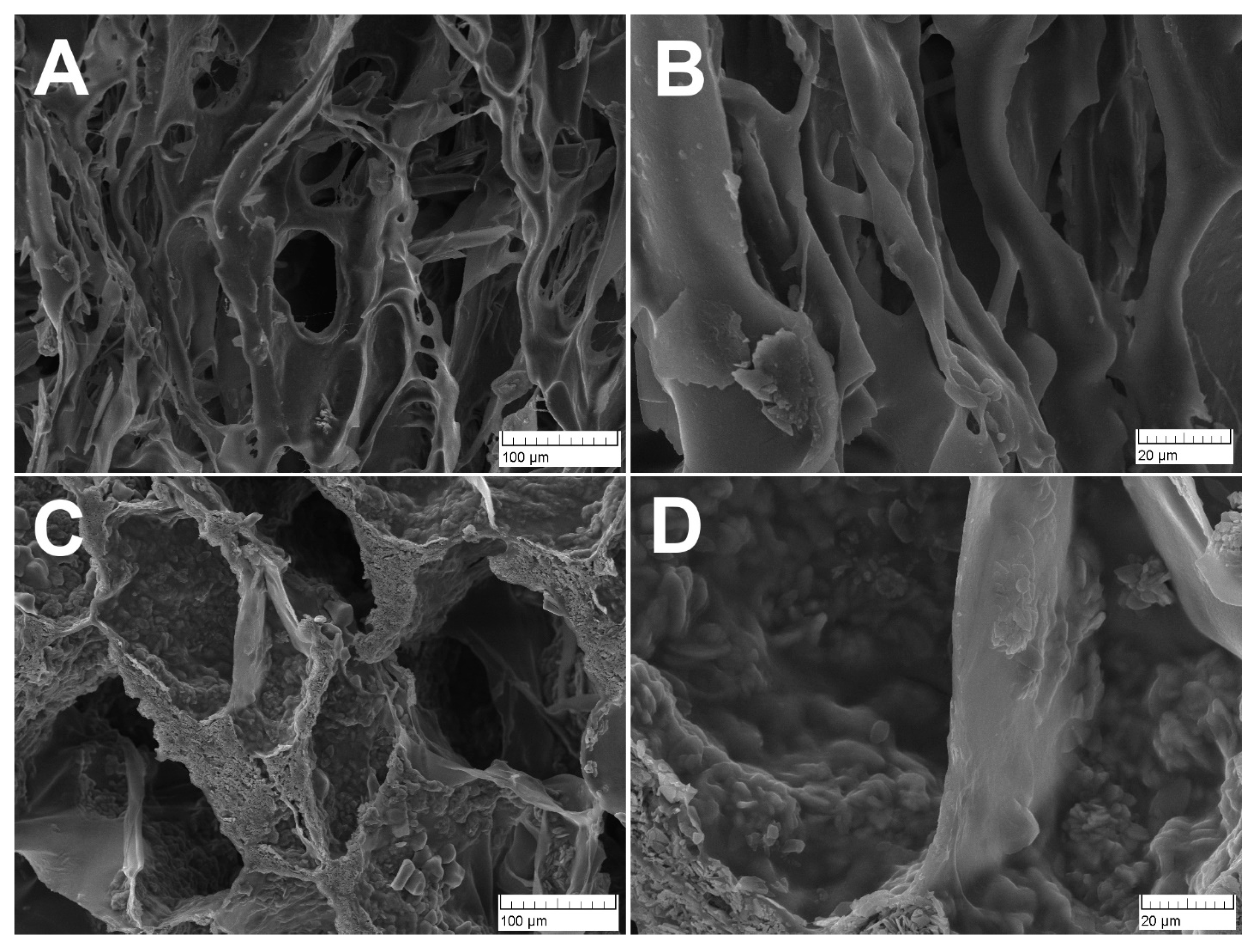 Materials 16 04478 g005 Materials 16 04478 g005