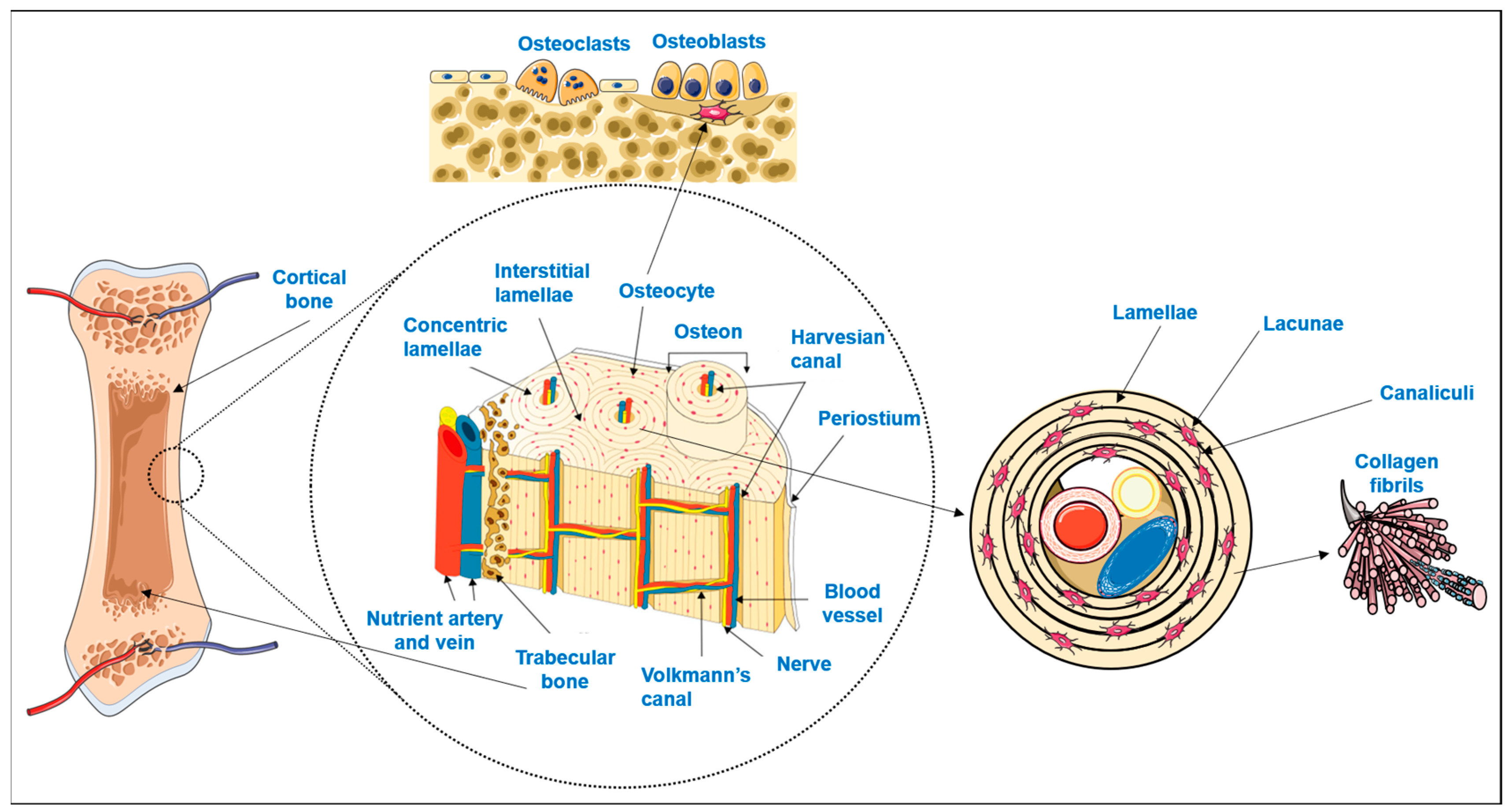 Materials 16 04483 g001