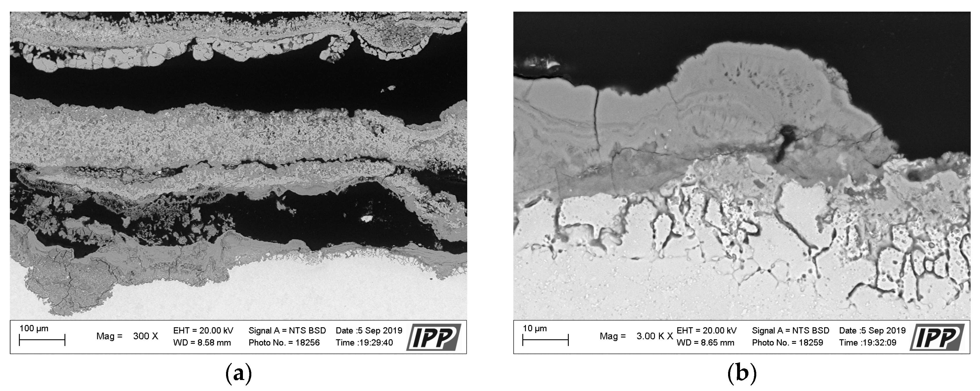 Materials 16 04492 g014 Materials 16 04492 g014