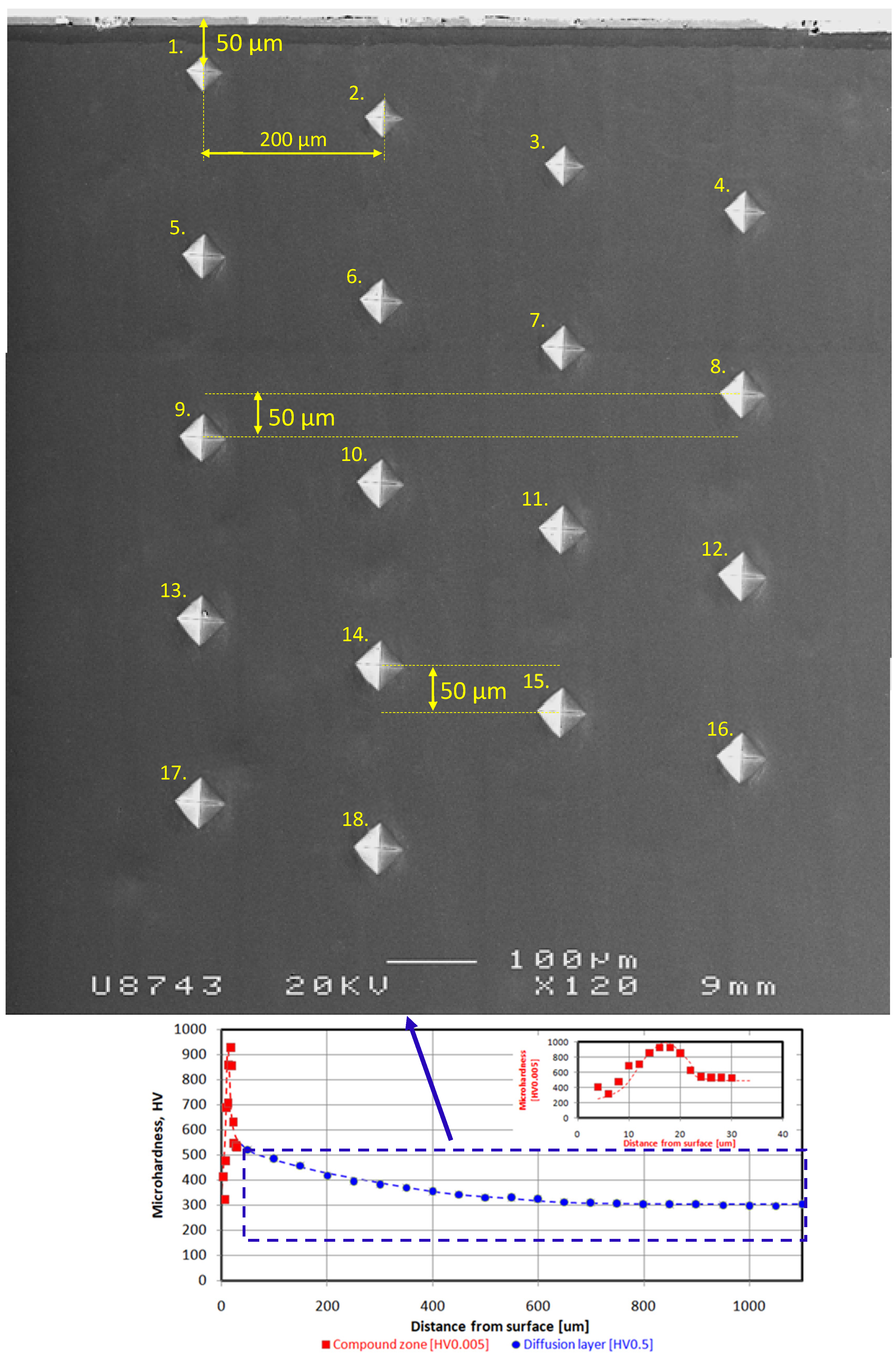Materials 16 04496 g004