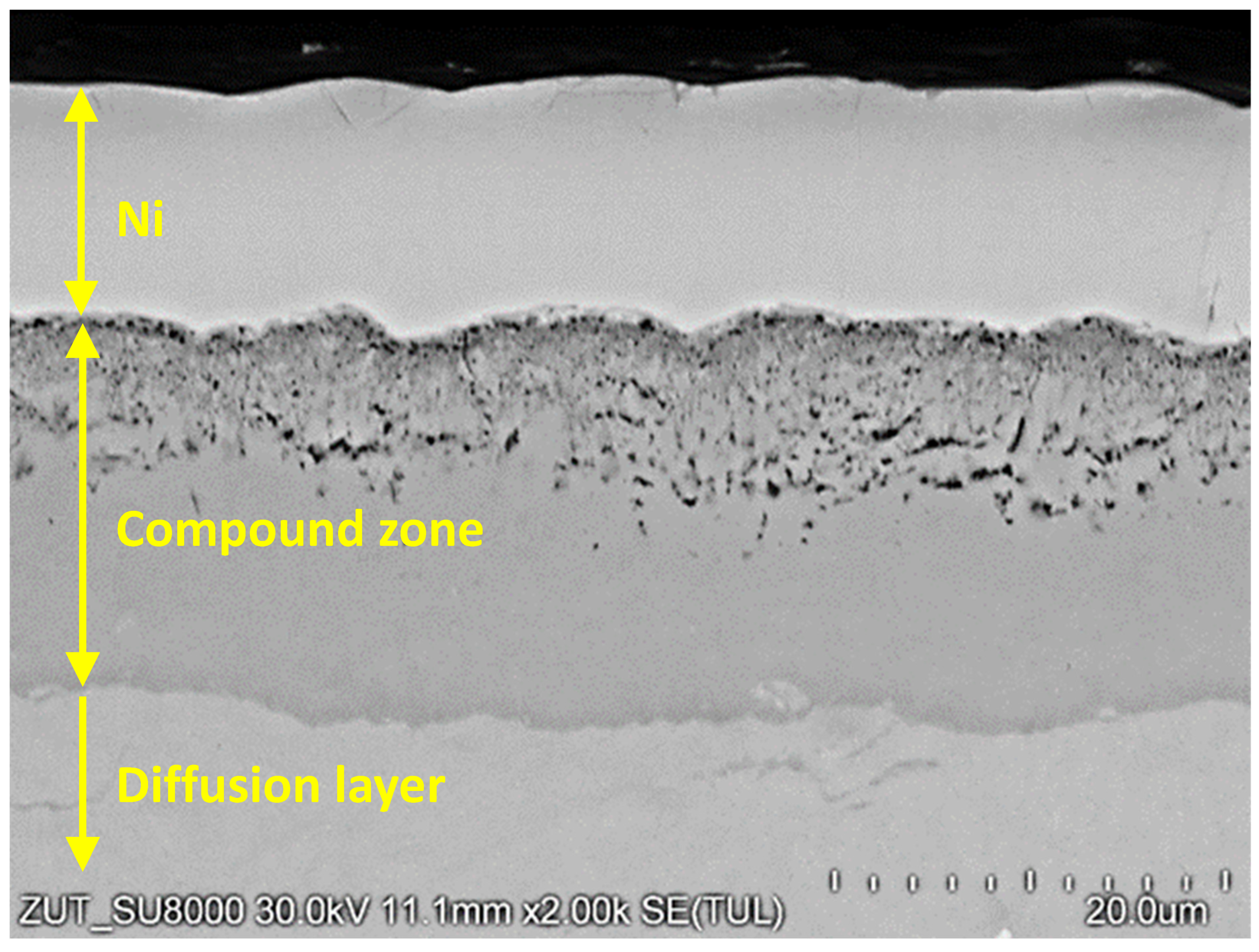Materials 16 04496 g007