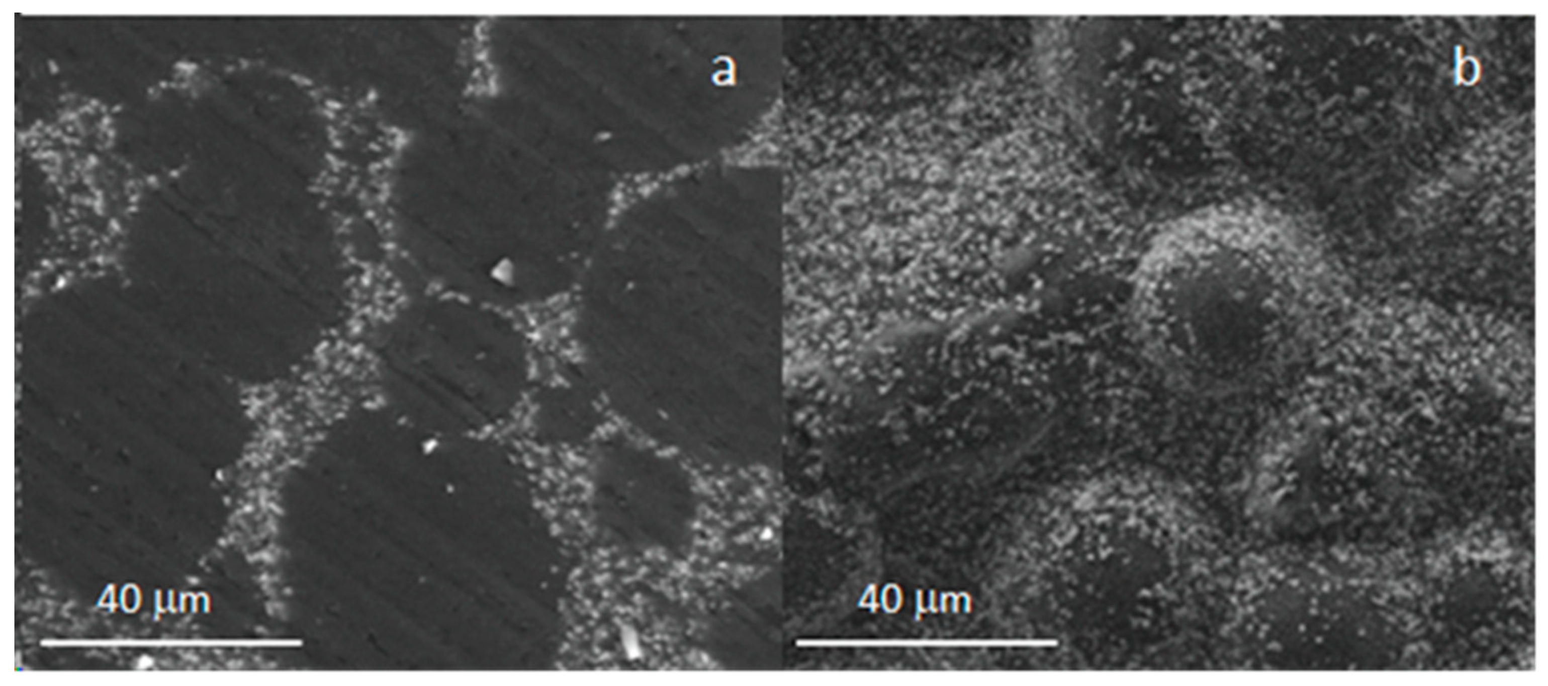 Materials 16 04499 g003