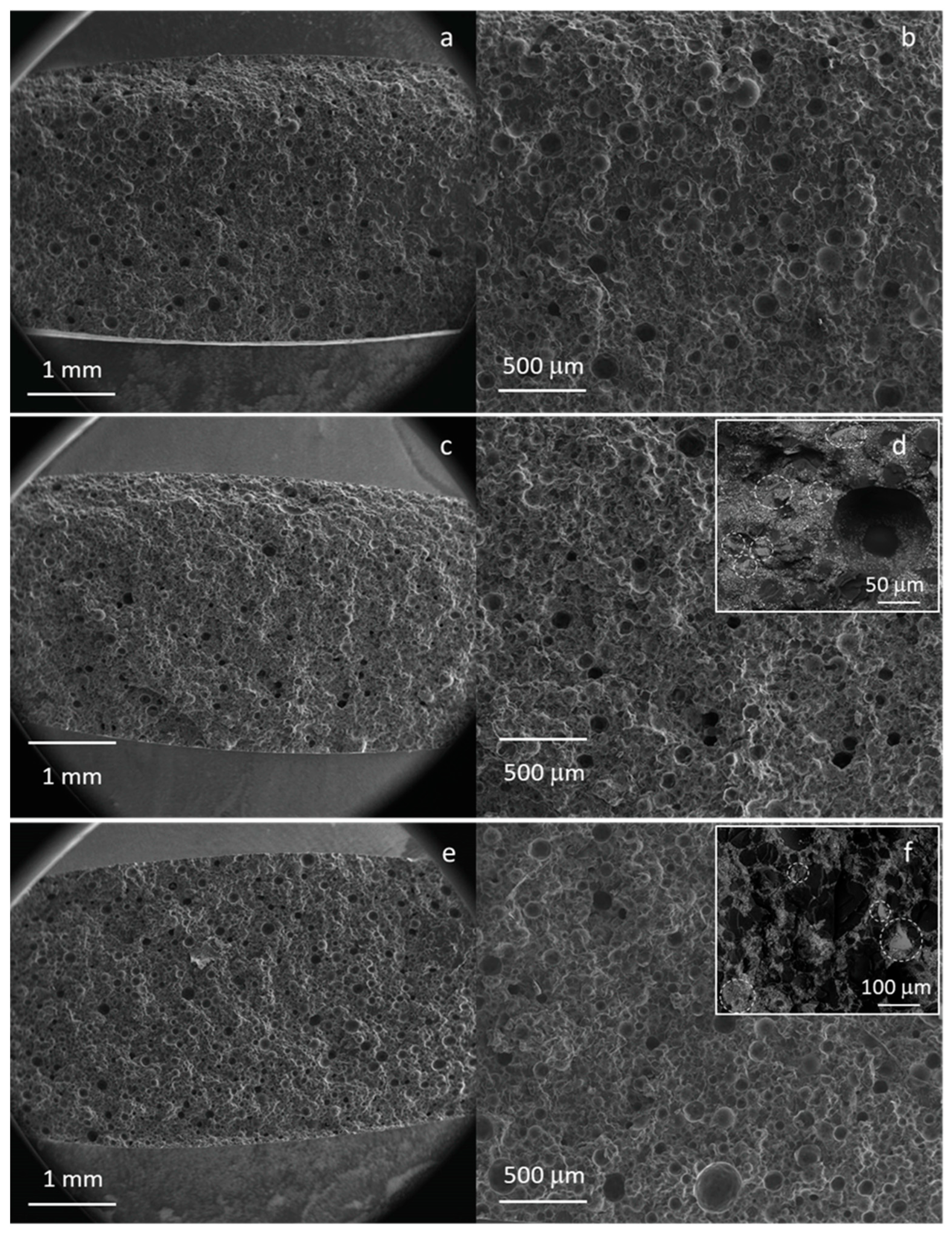 Materials 16 04499 g008