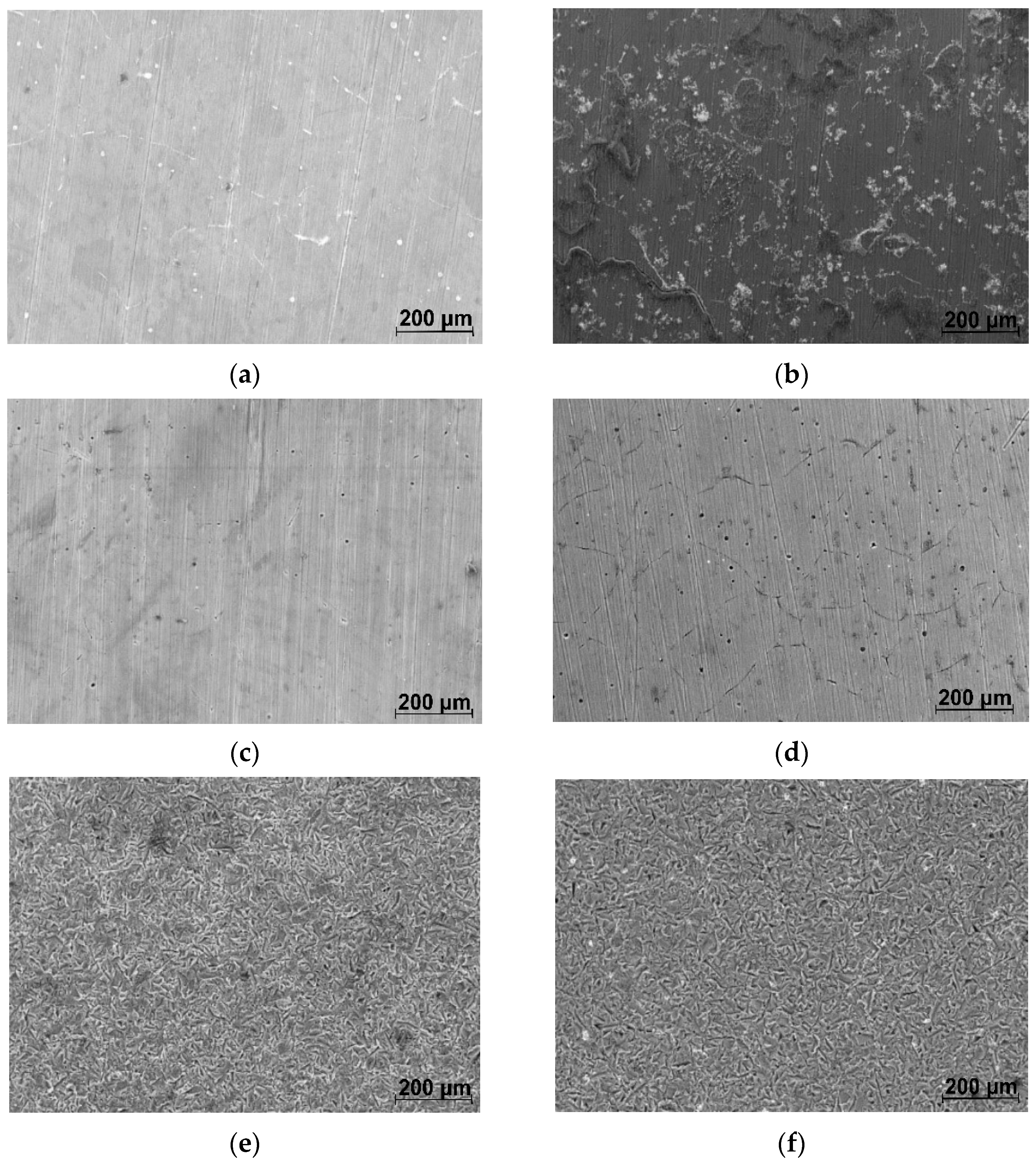 Materials 16 04508 g005a