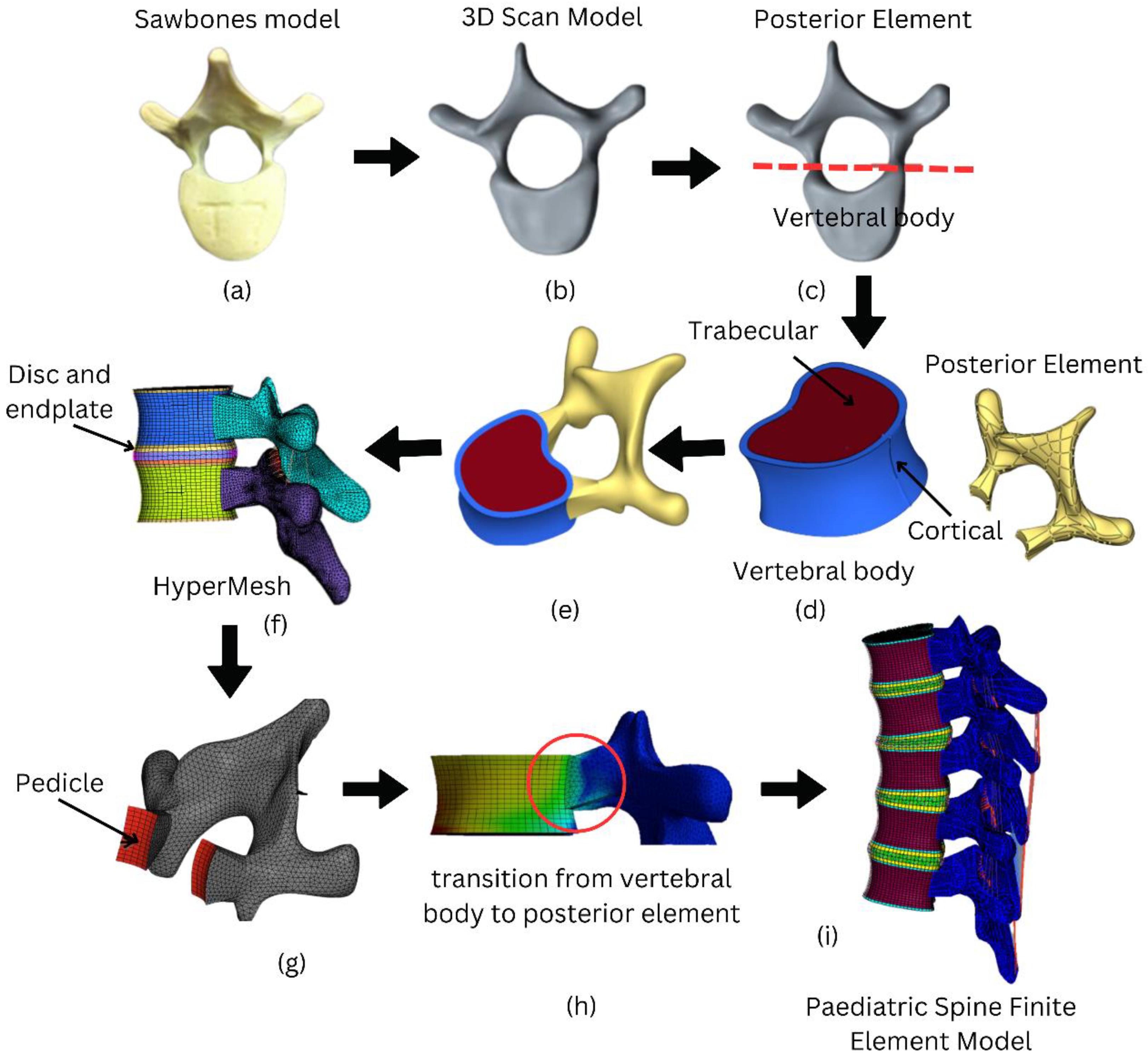 Materials 16 04514 g001