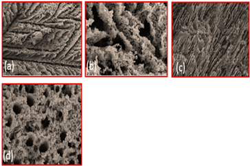 Materials 16 04515 i006