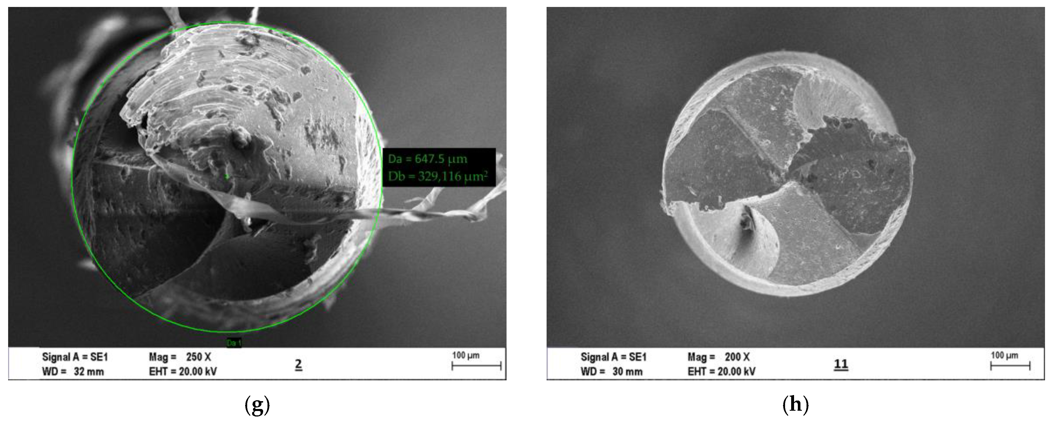 Materials 16 04528 g013b