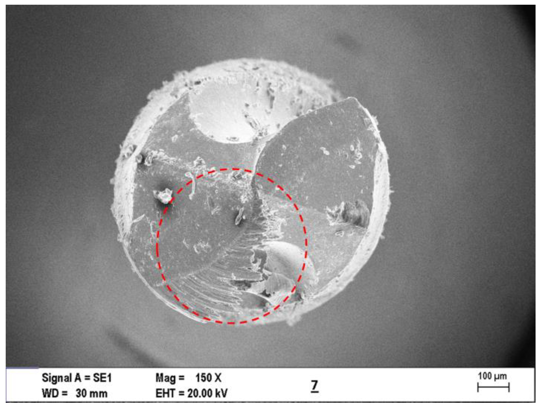 Materials 16 04528 g014