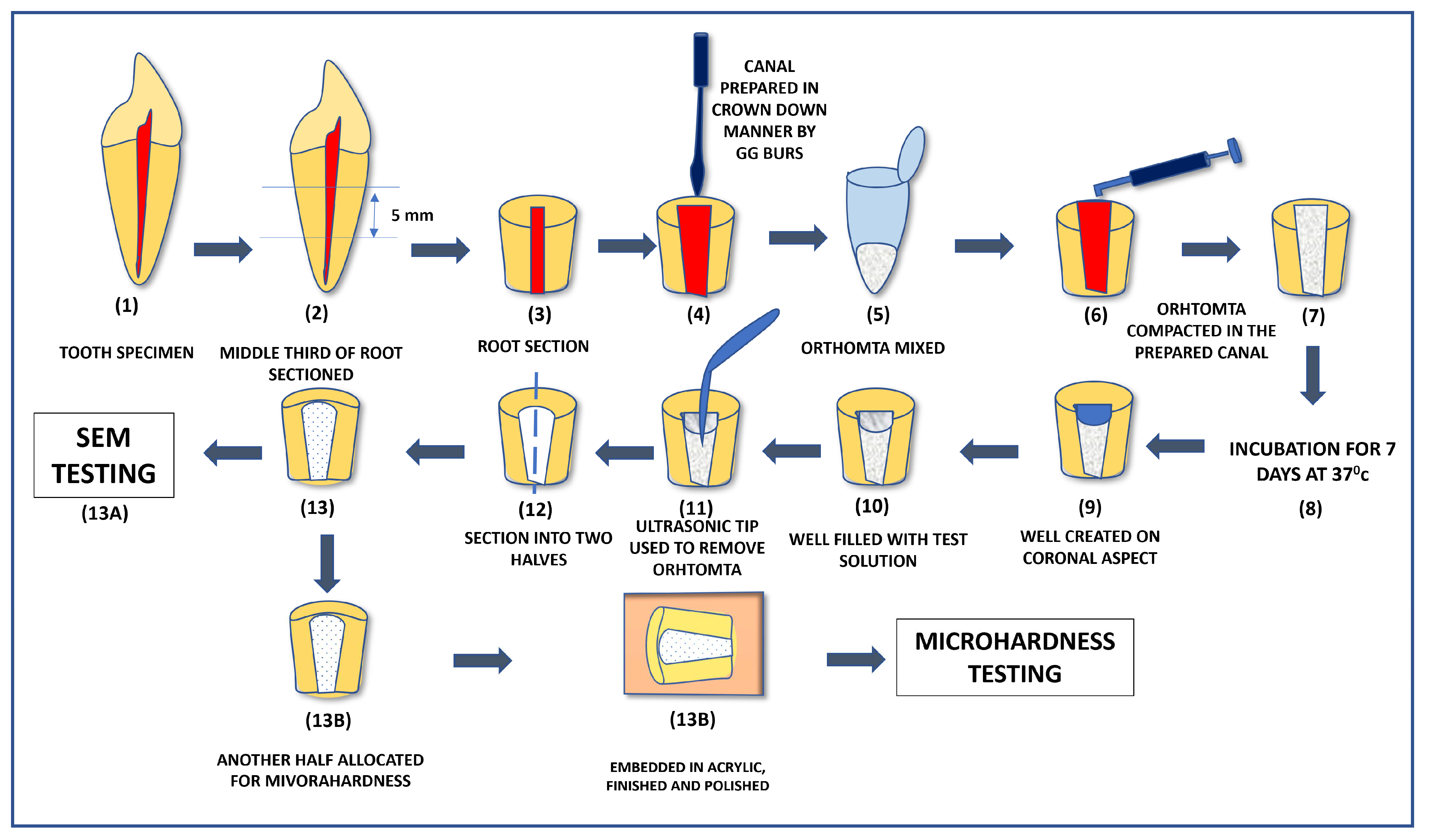 Materials 16 04535 g002