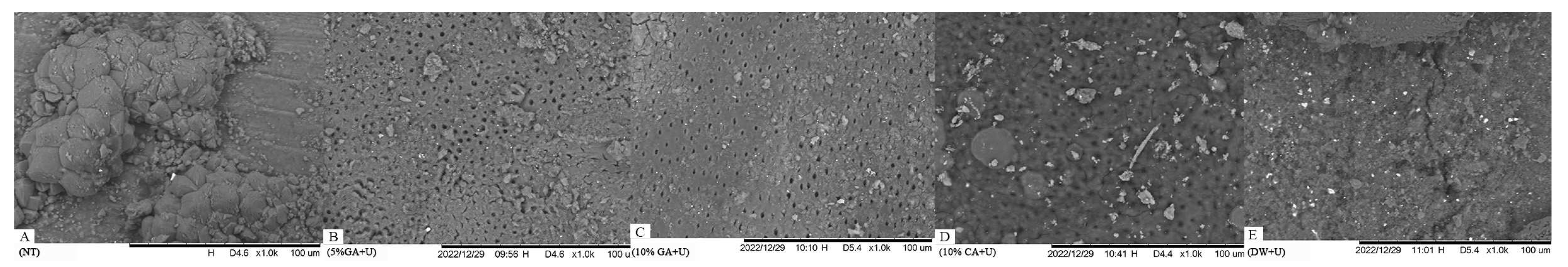 Materials 16 04535 g003