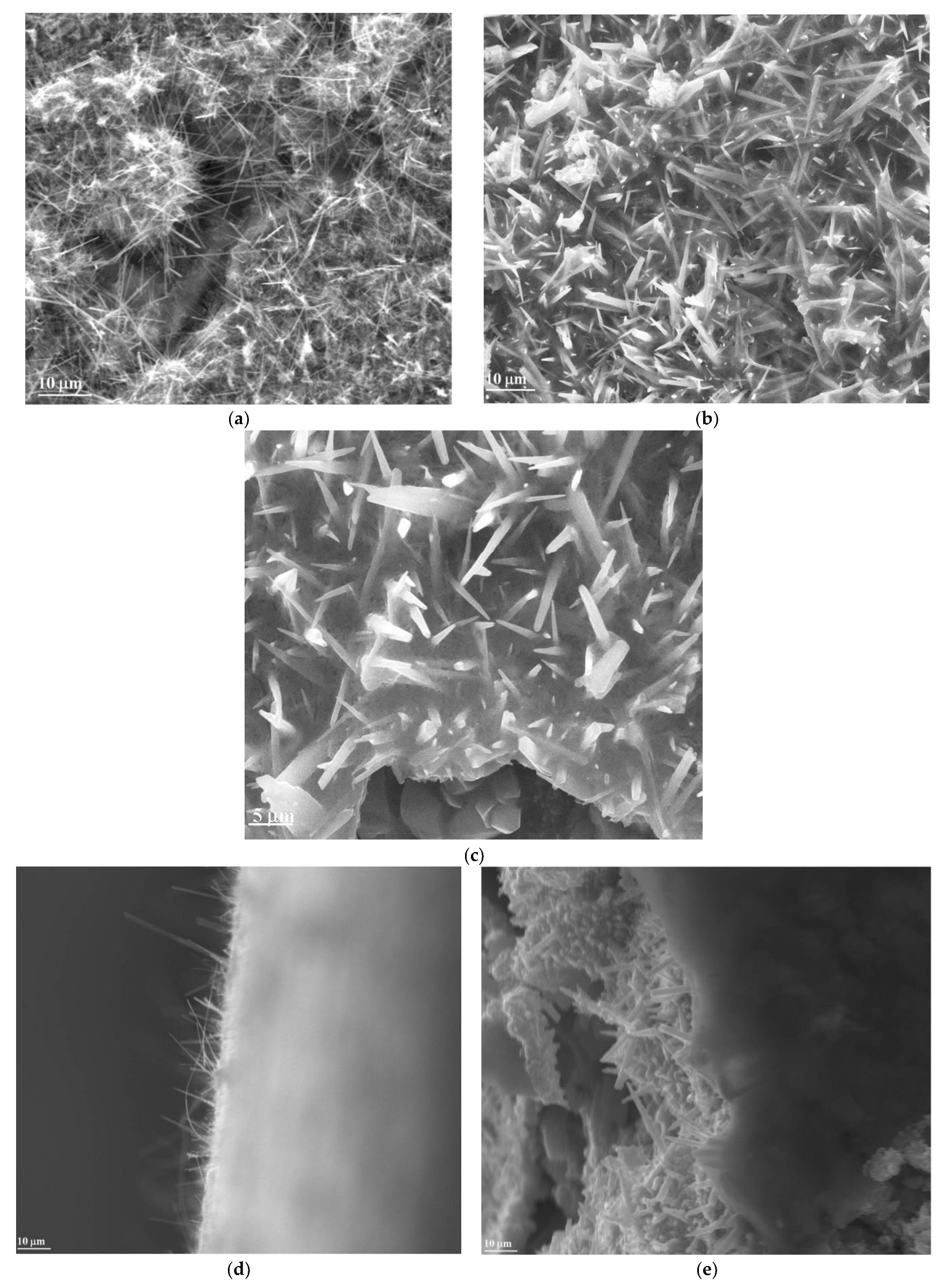 Materials 16 04536 g004a