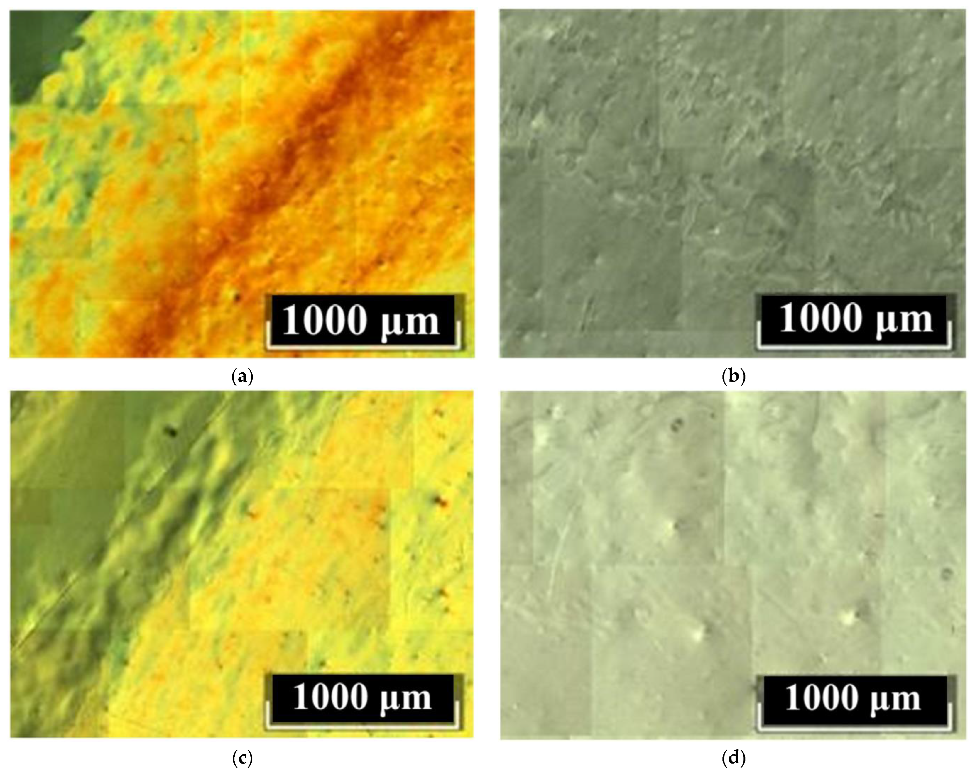 Materials 16 04541 g006