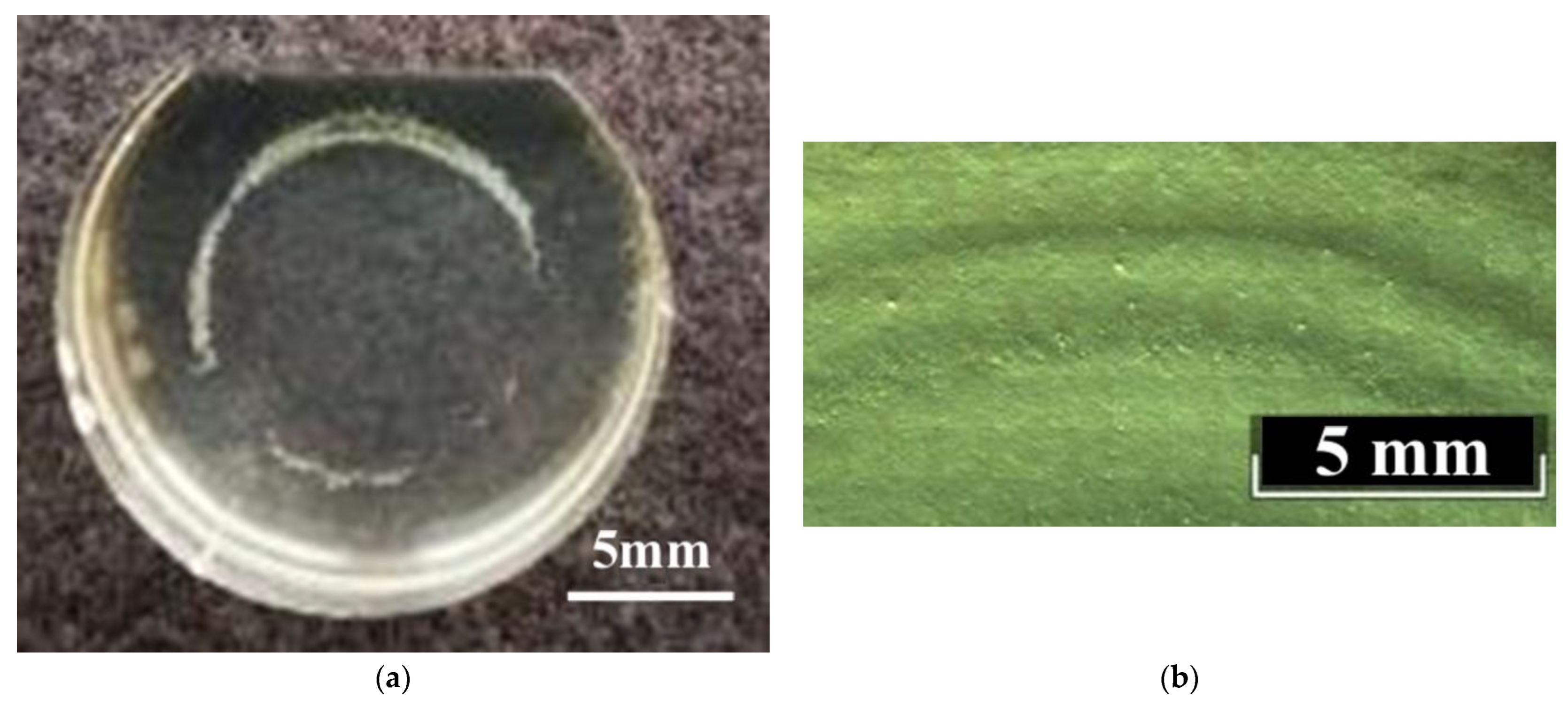 Materials 16 04541 g007