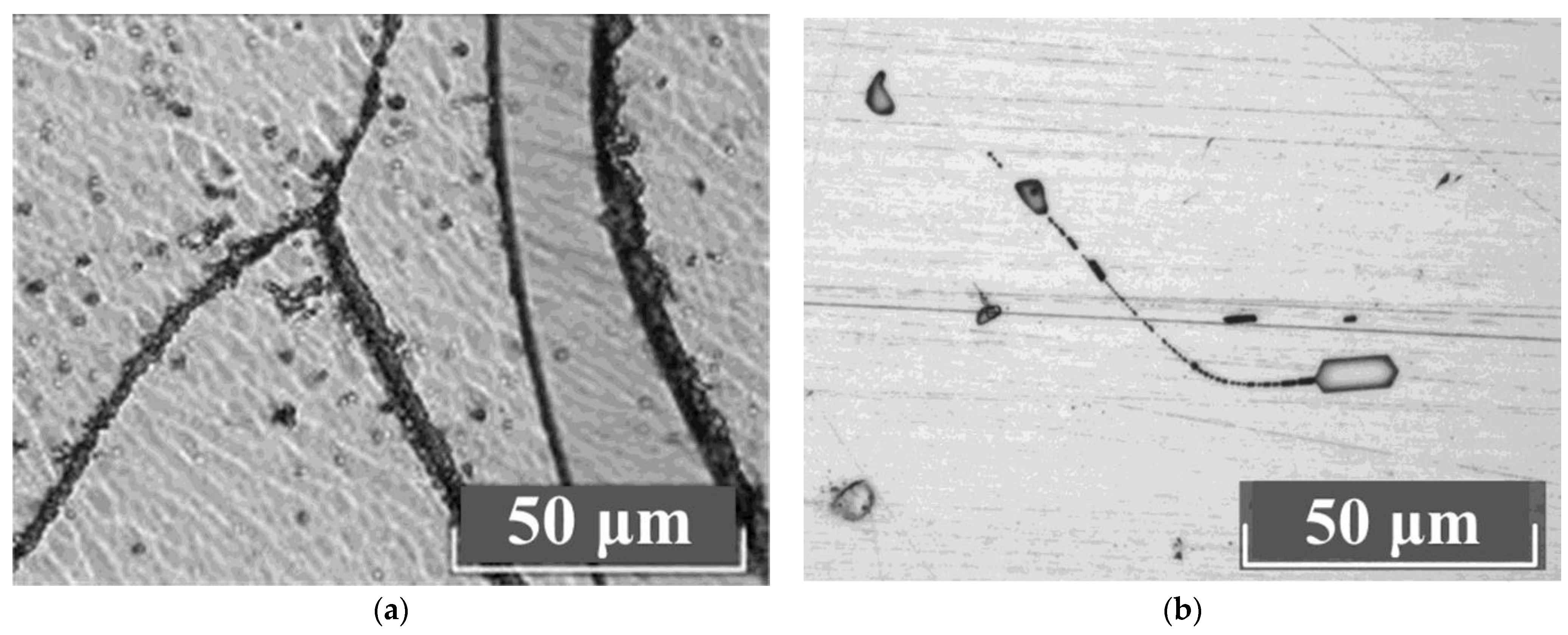 Materials 16 04541 g009a