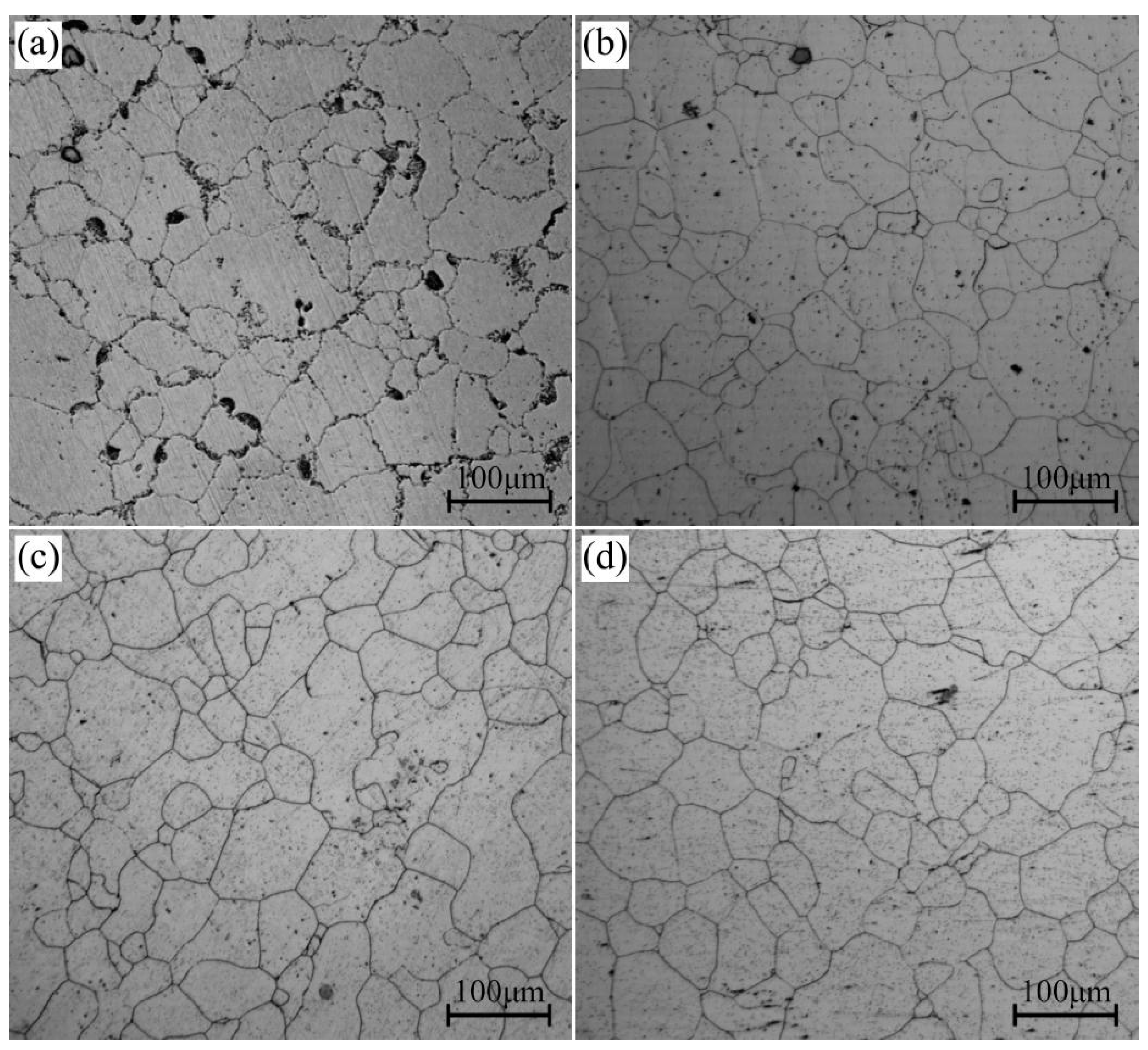 Materials 16 04546 g001