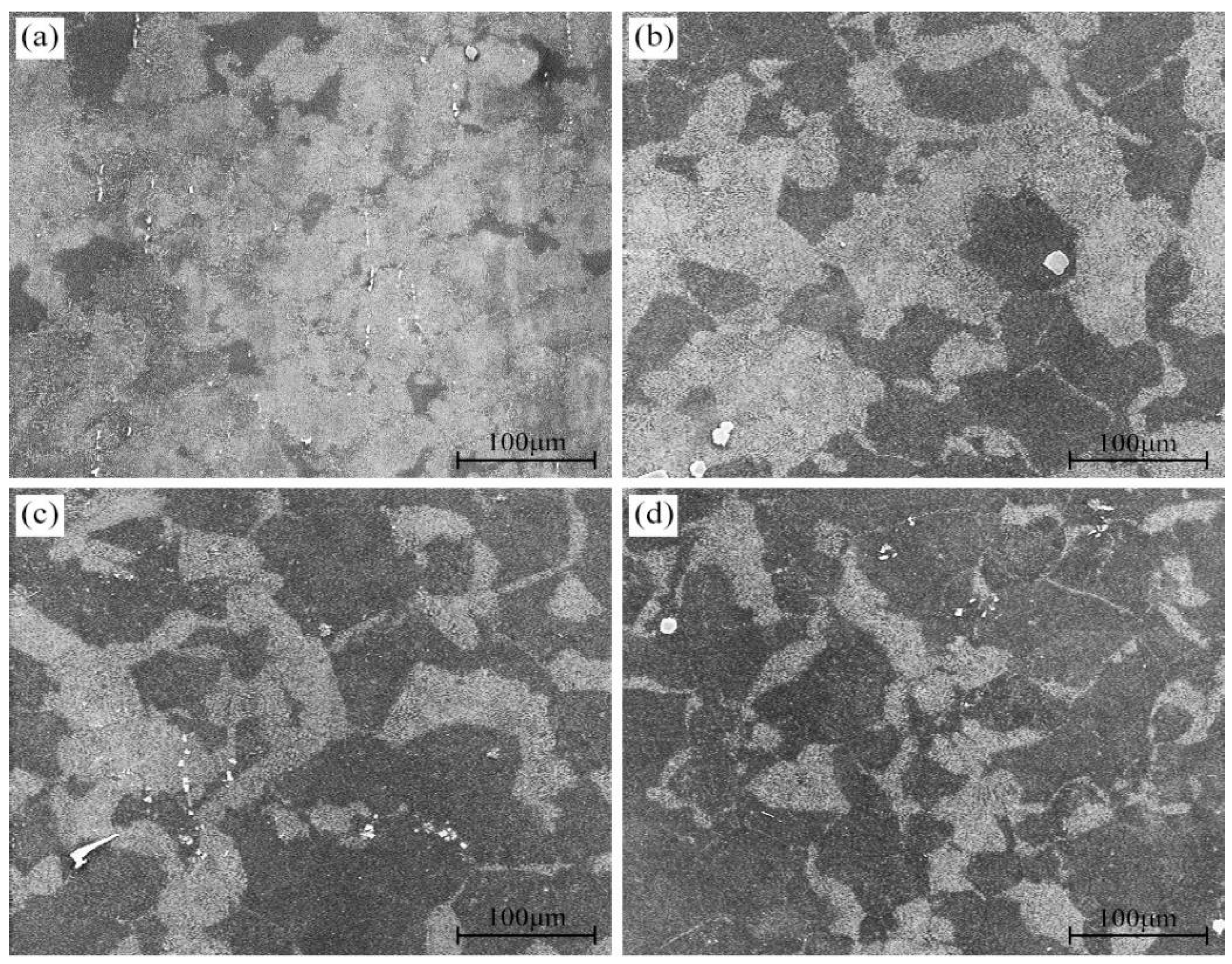 Materials 16 04546 g003