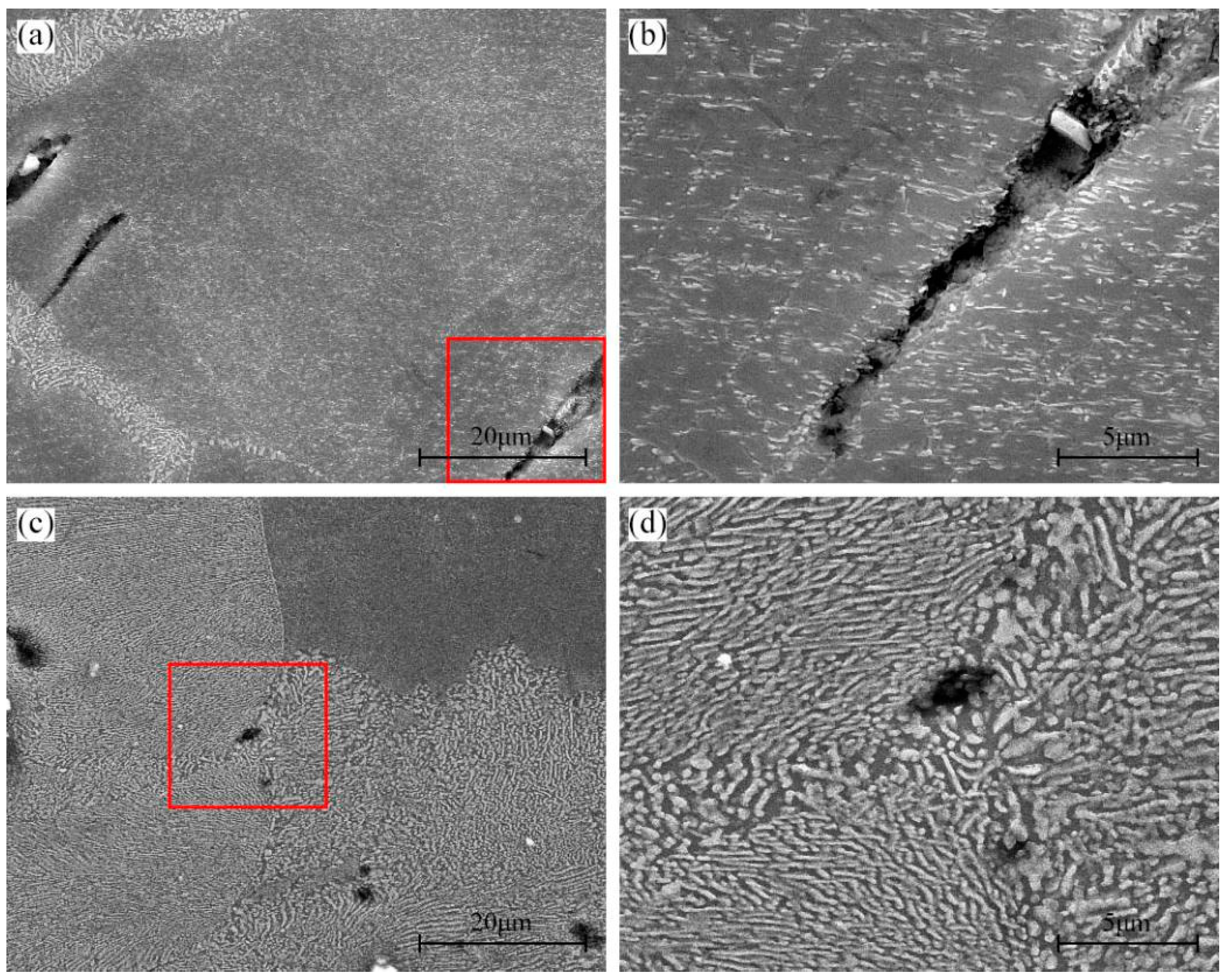 Materials 16 04546 g010