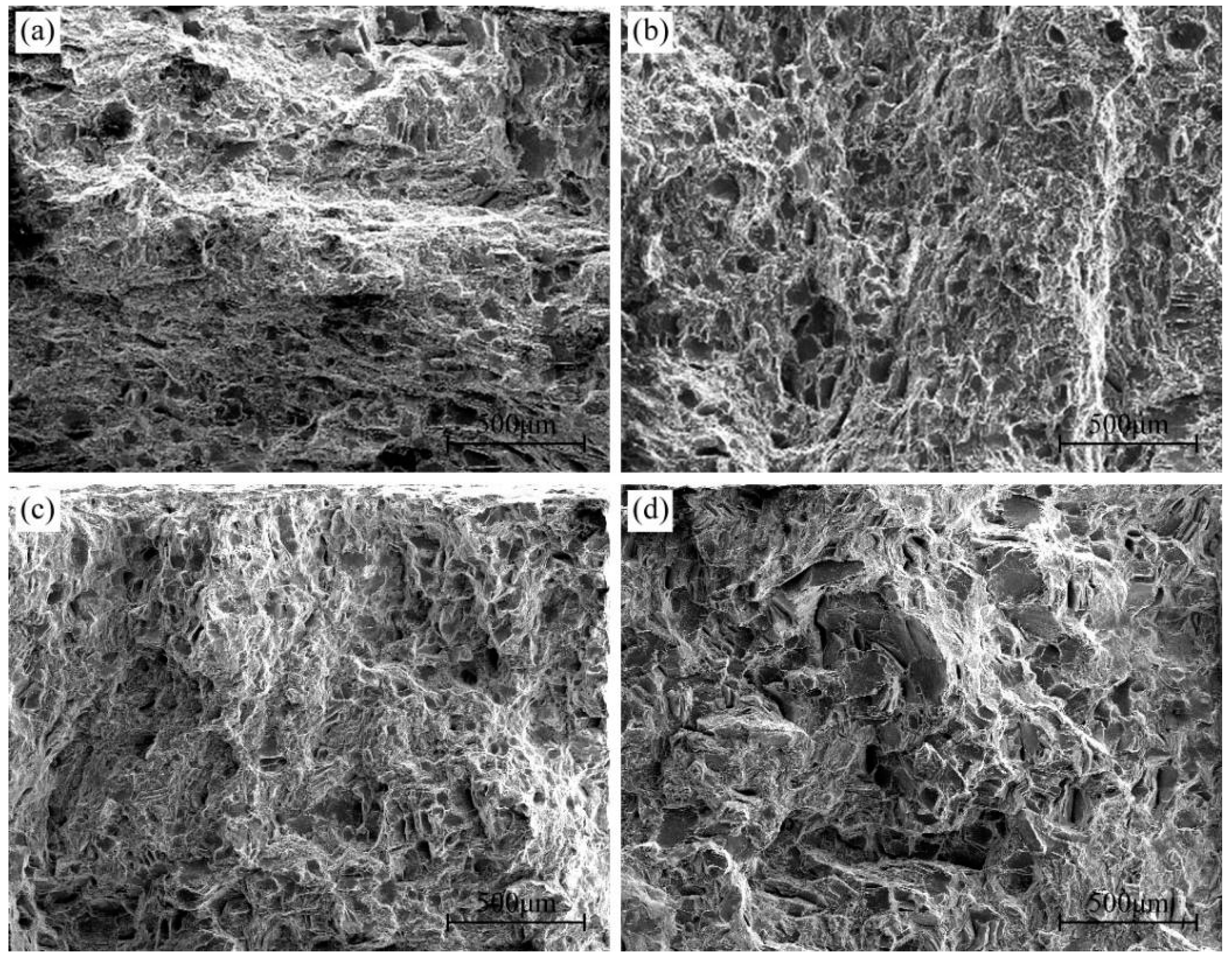 Materials 16 04546 g013