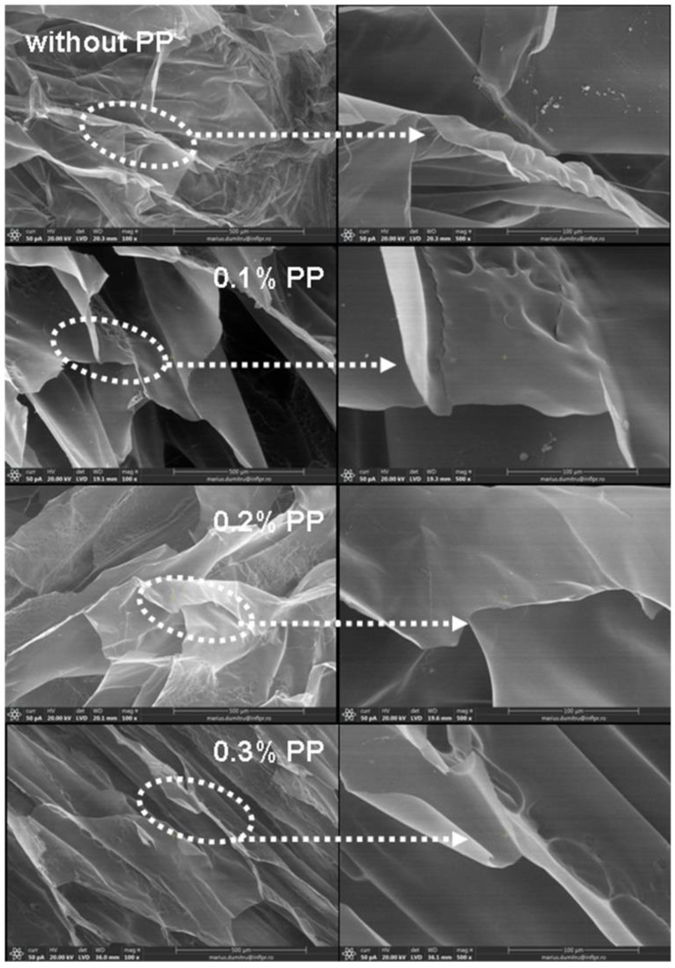 Materials 16 04552 g010