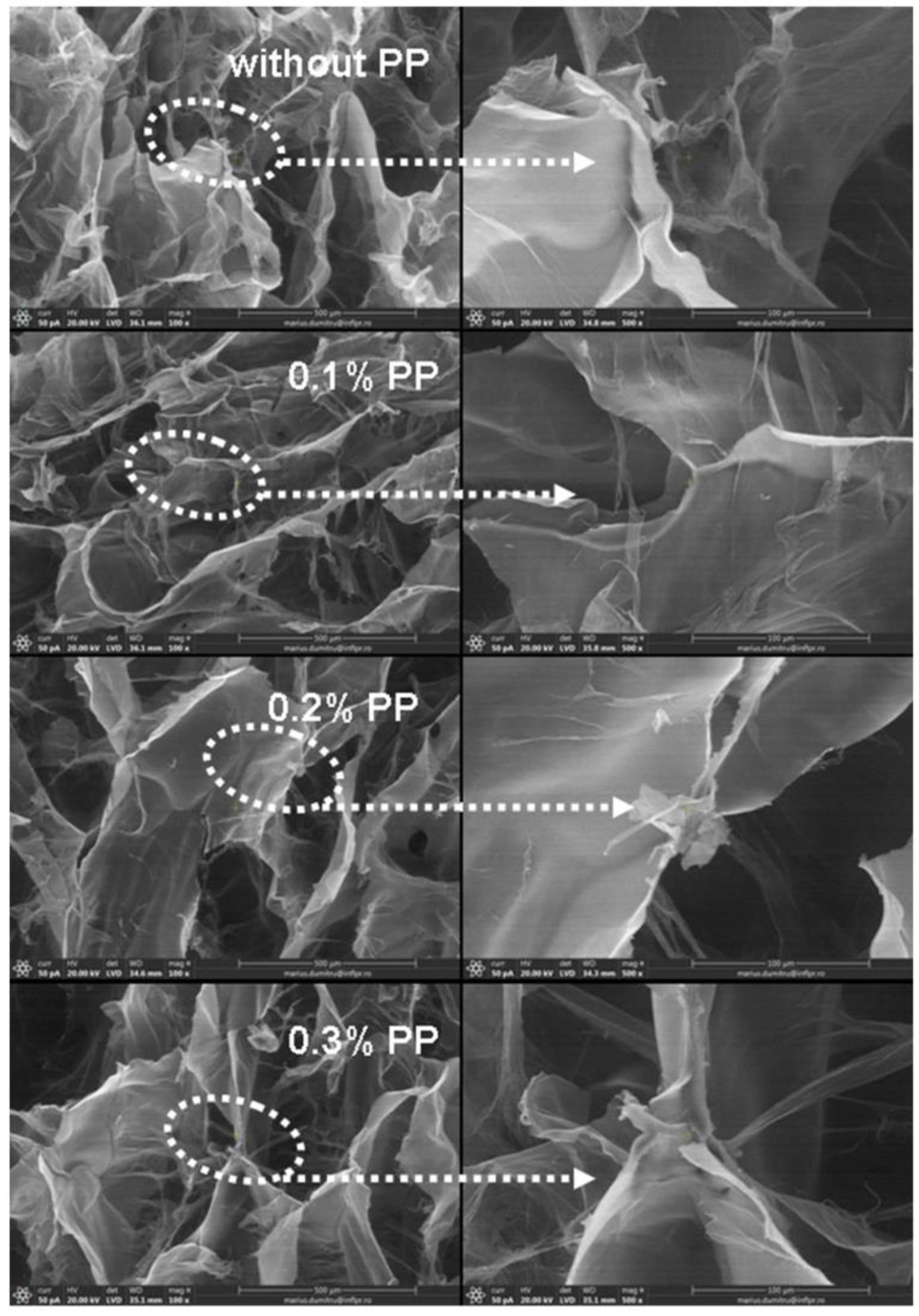 Materials 16 04552 g011