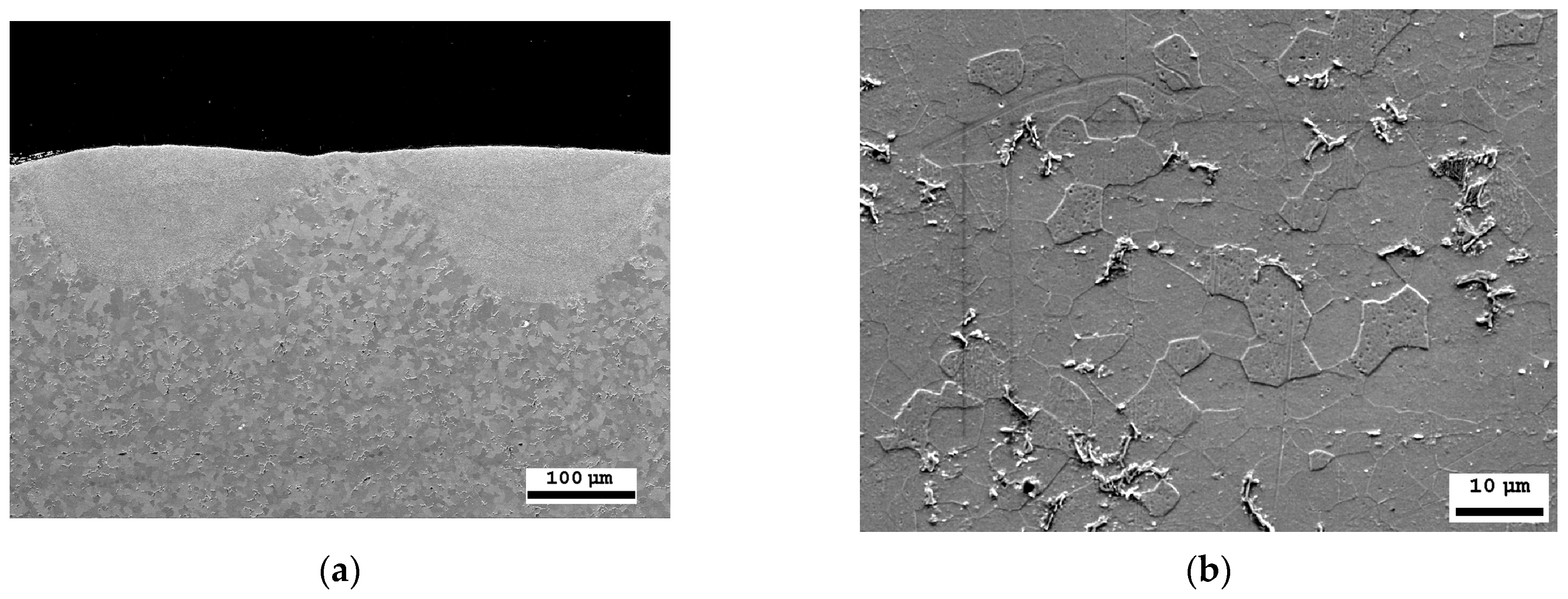 Materials 16 04555 g007