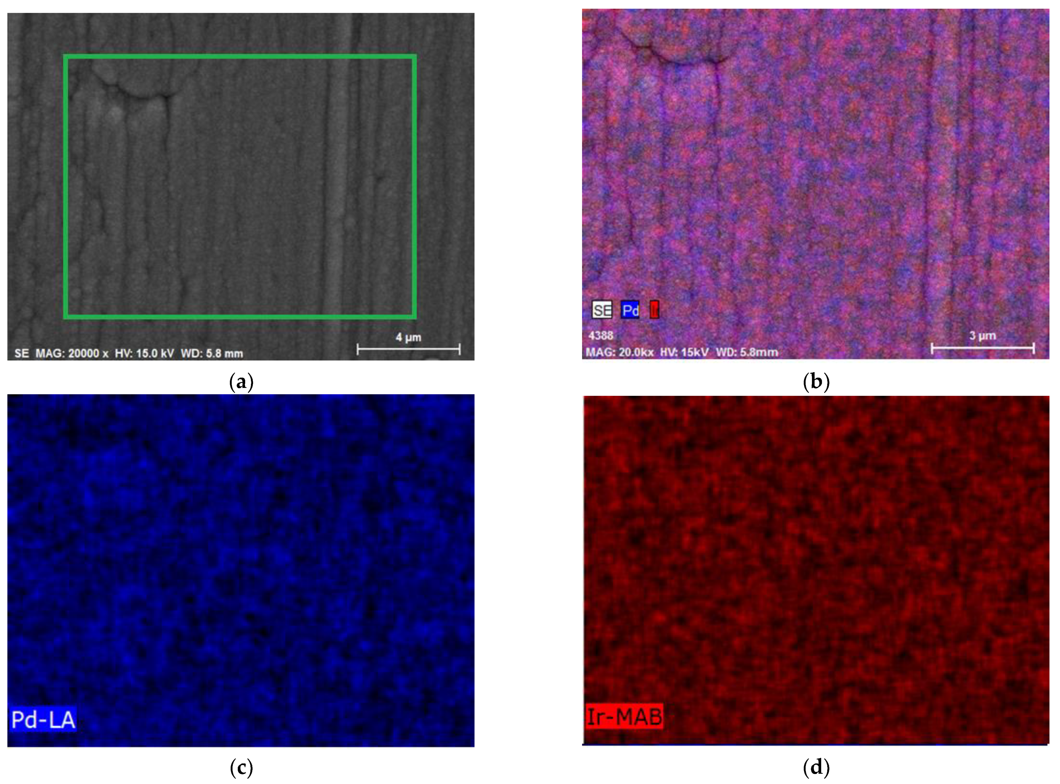 Materials 16 04556 g005