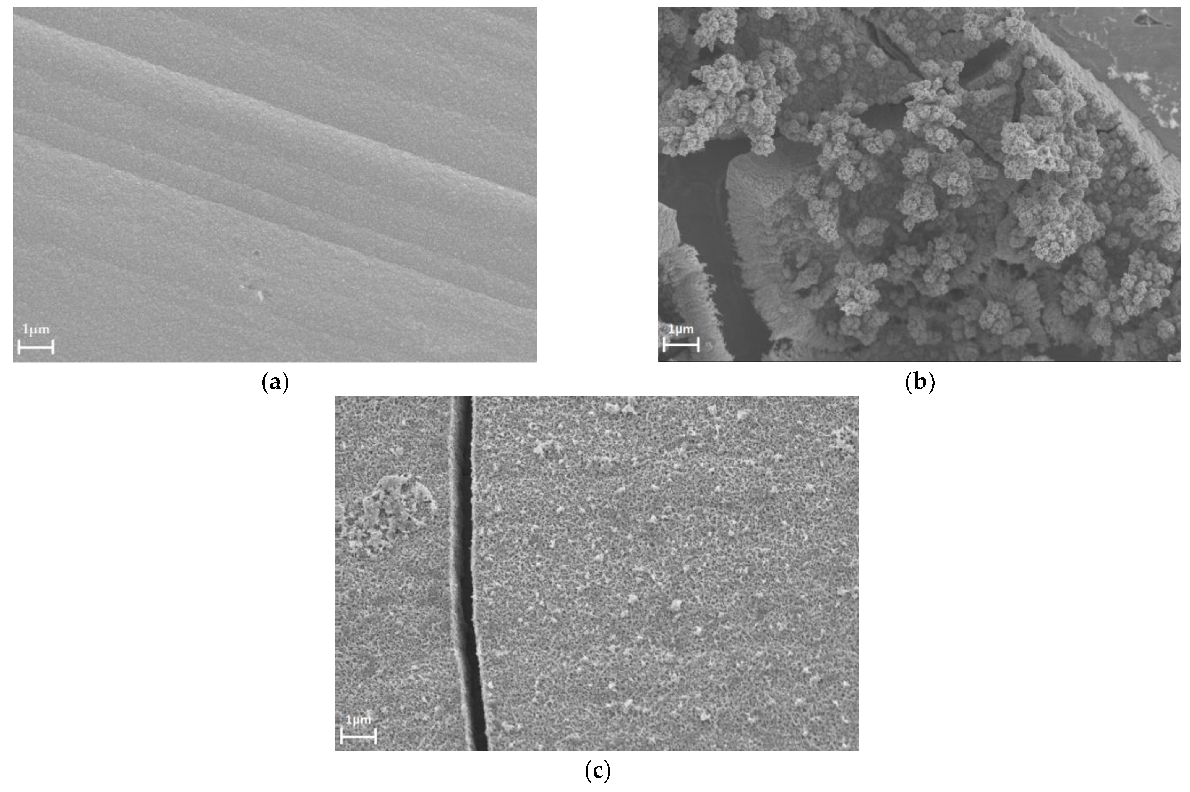 Materials 16 04556 g007