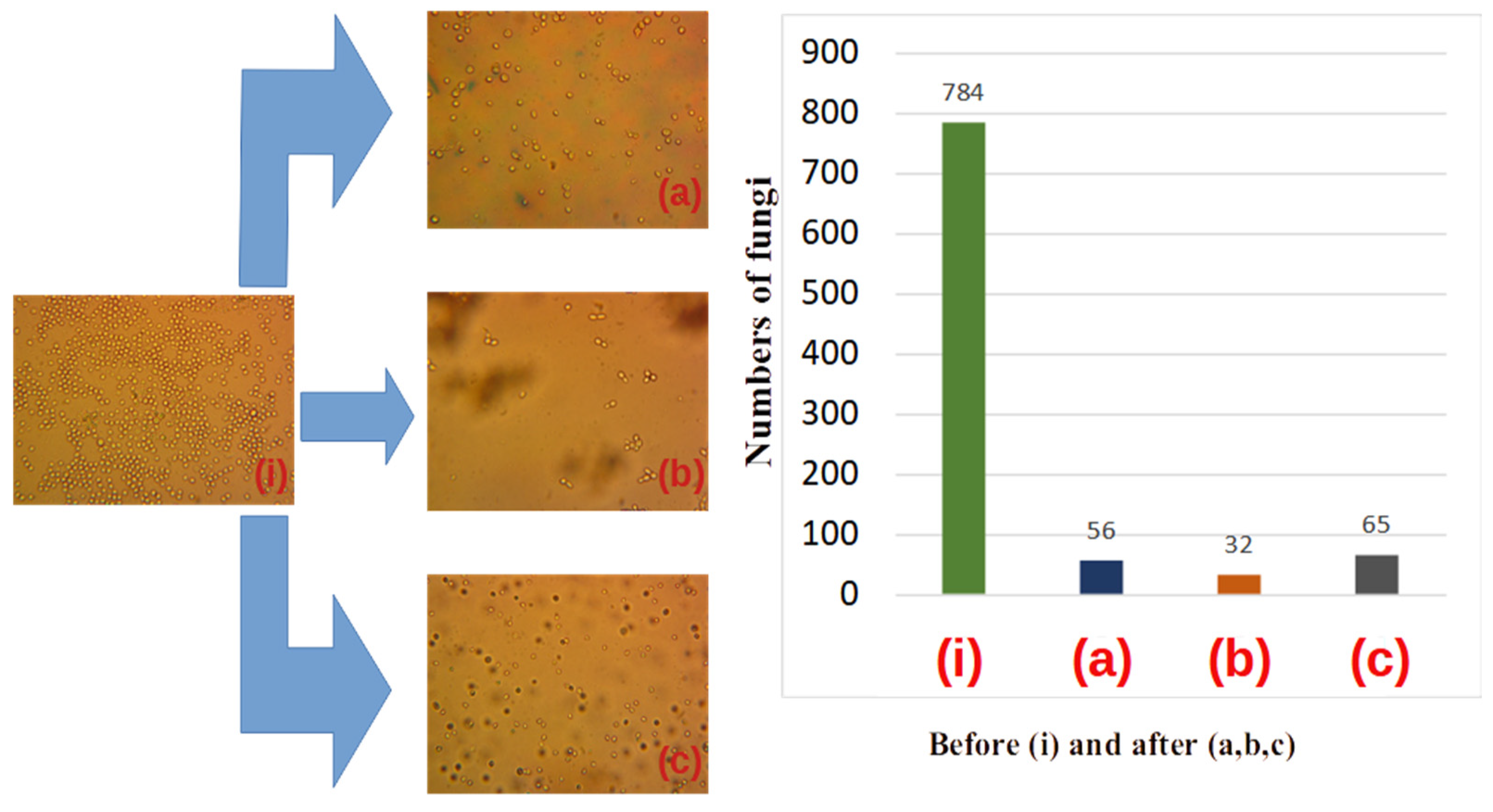Materials 16 04559 g007