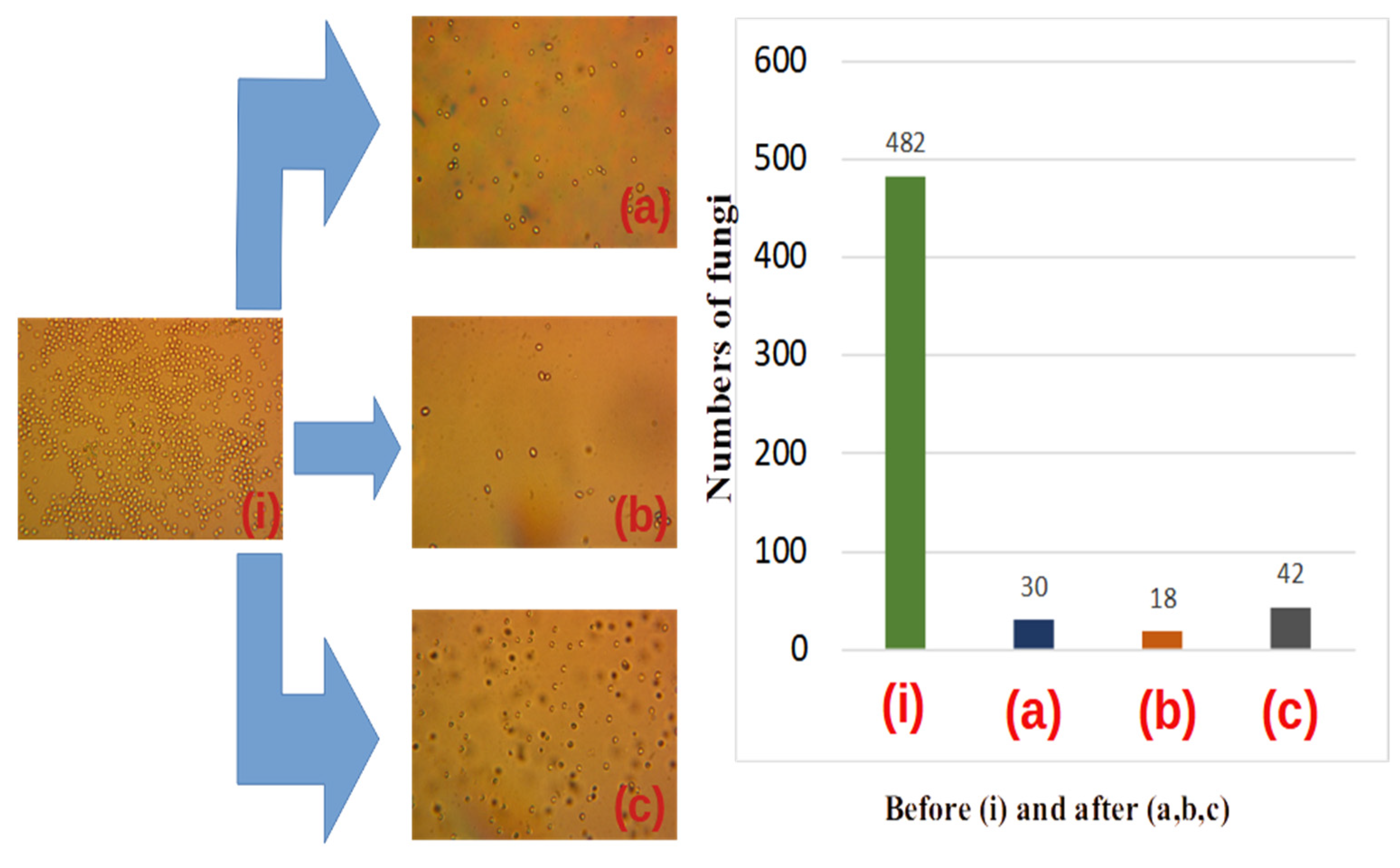 Materials 16 04559 g008