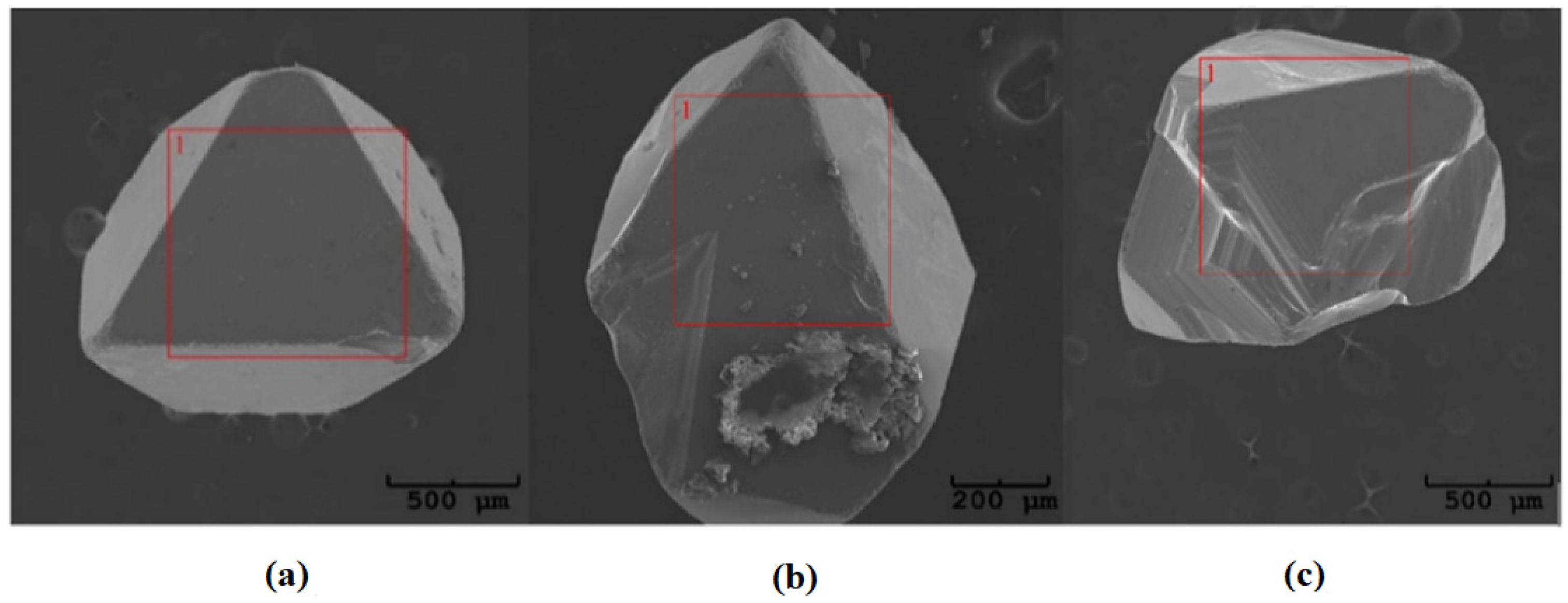 Materials 16 04565 g004