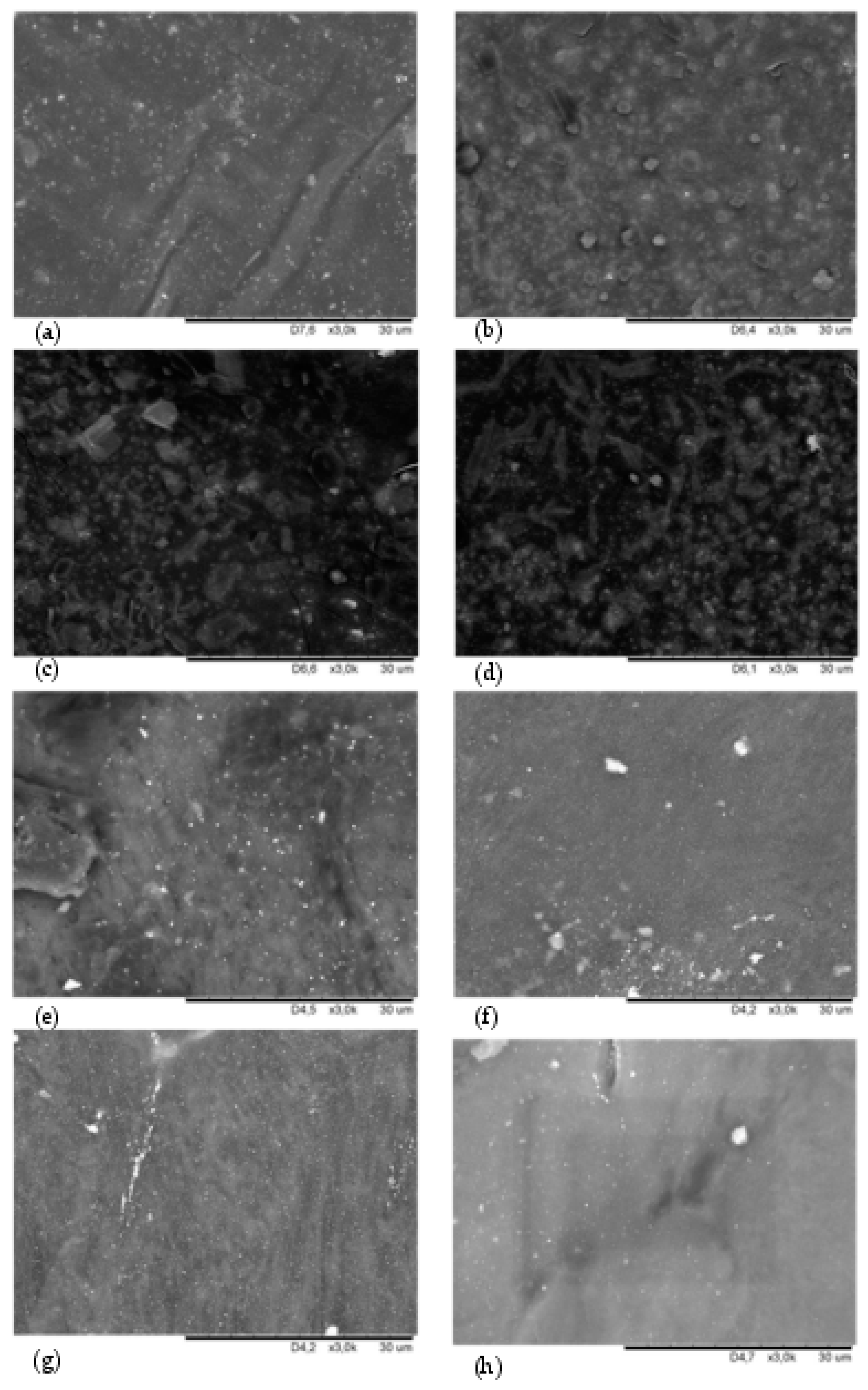 Materials 16 04573 g004