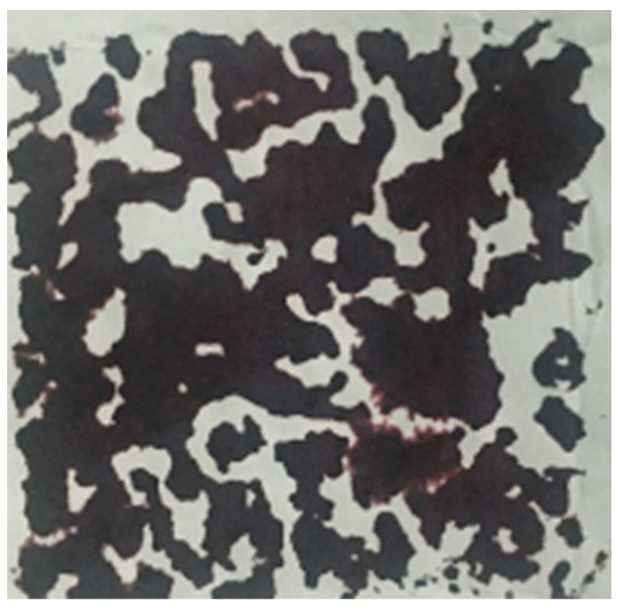 Materials 16 04581 g003