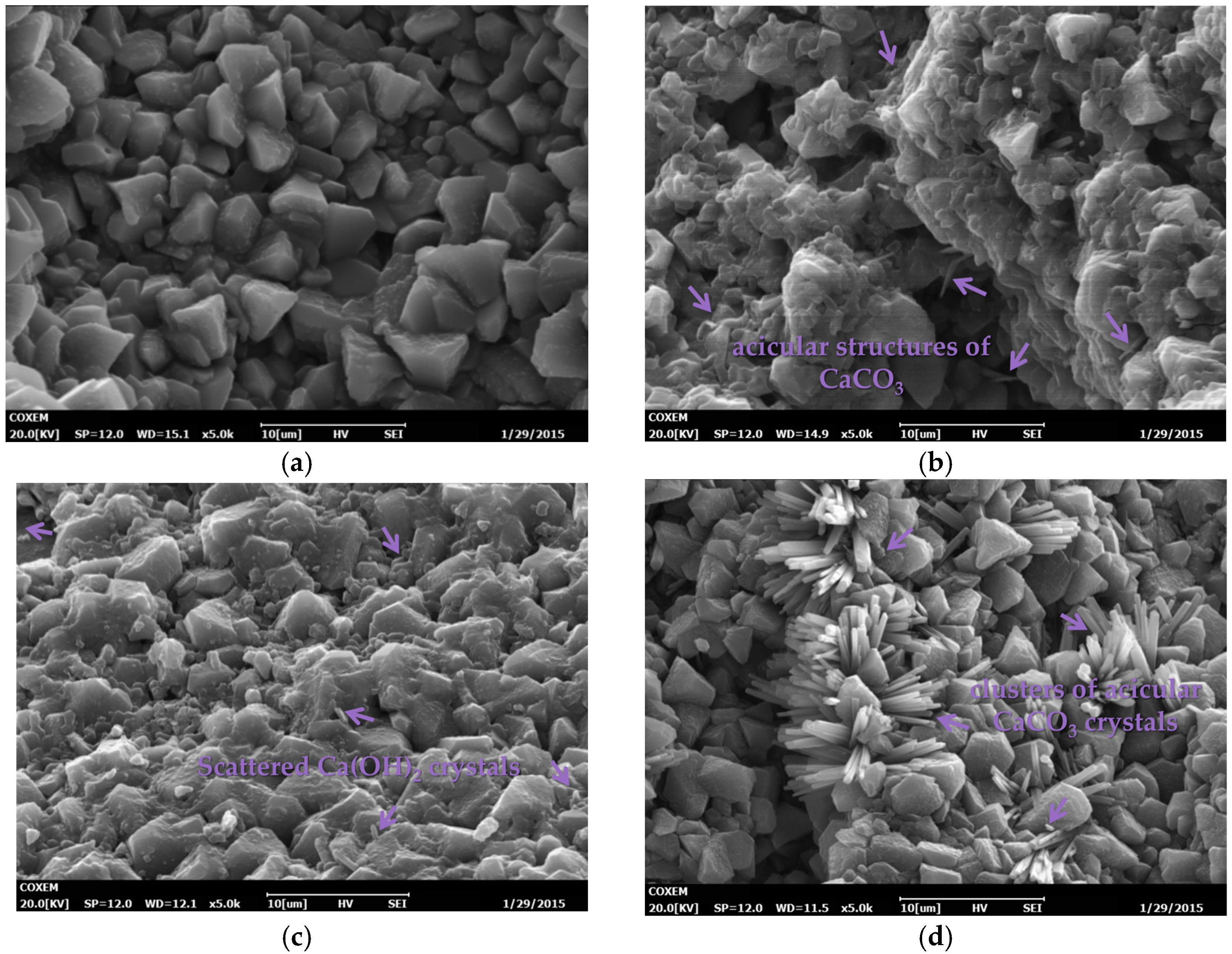 Materials 16 04581 g013