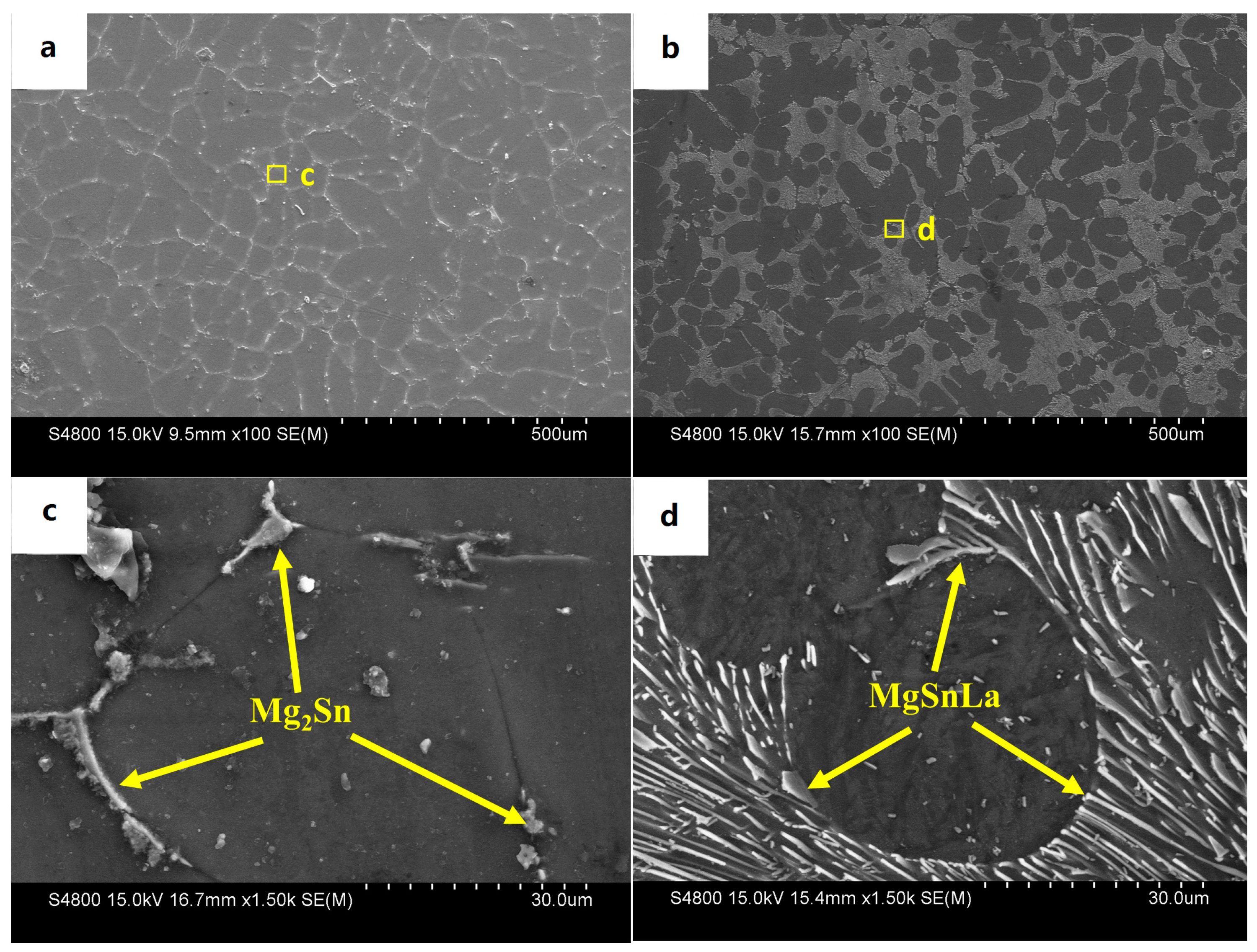 Materials 16 04588 g005