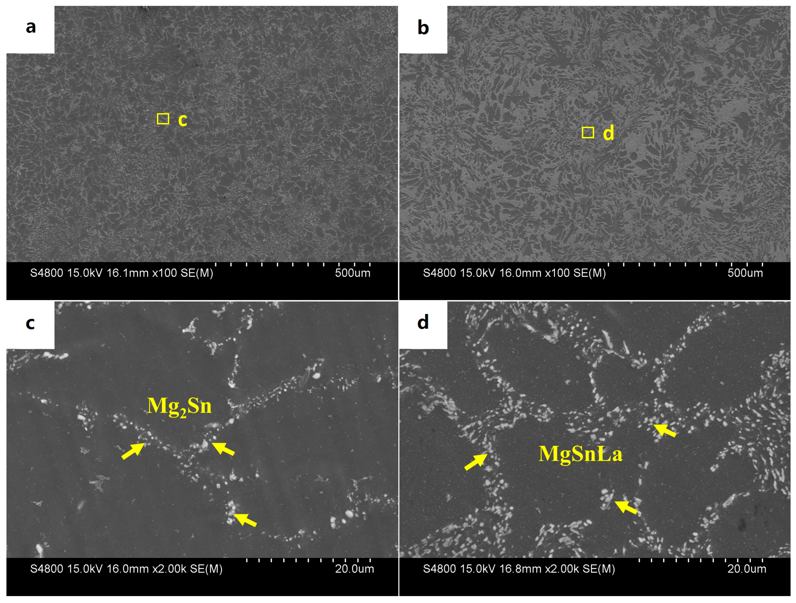 Materials 16 04588 g007