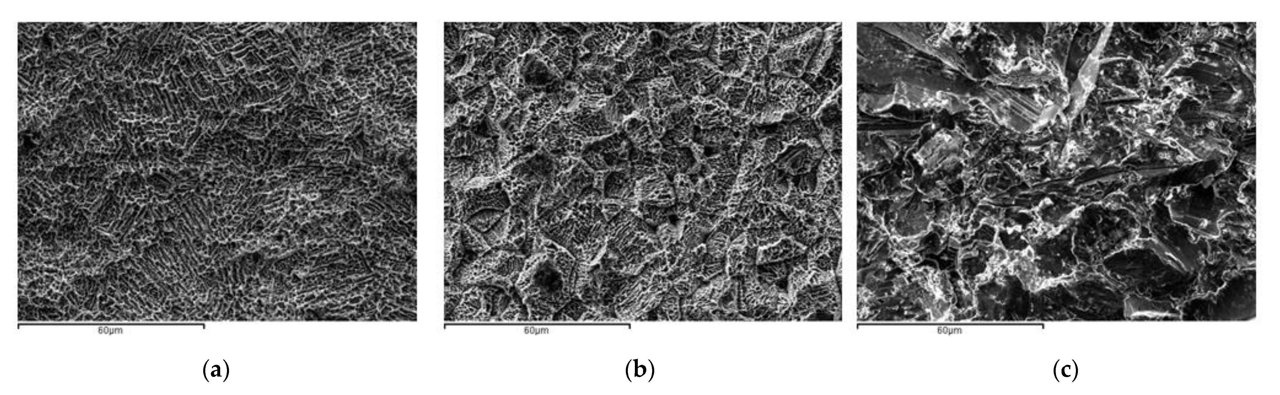 Materials 16 04592 g002